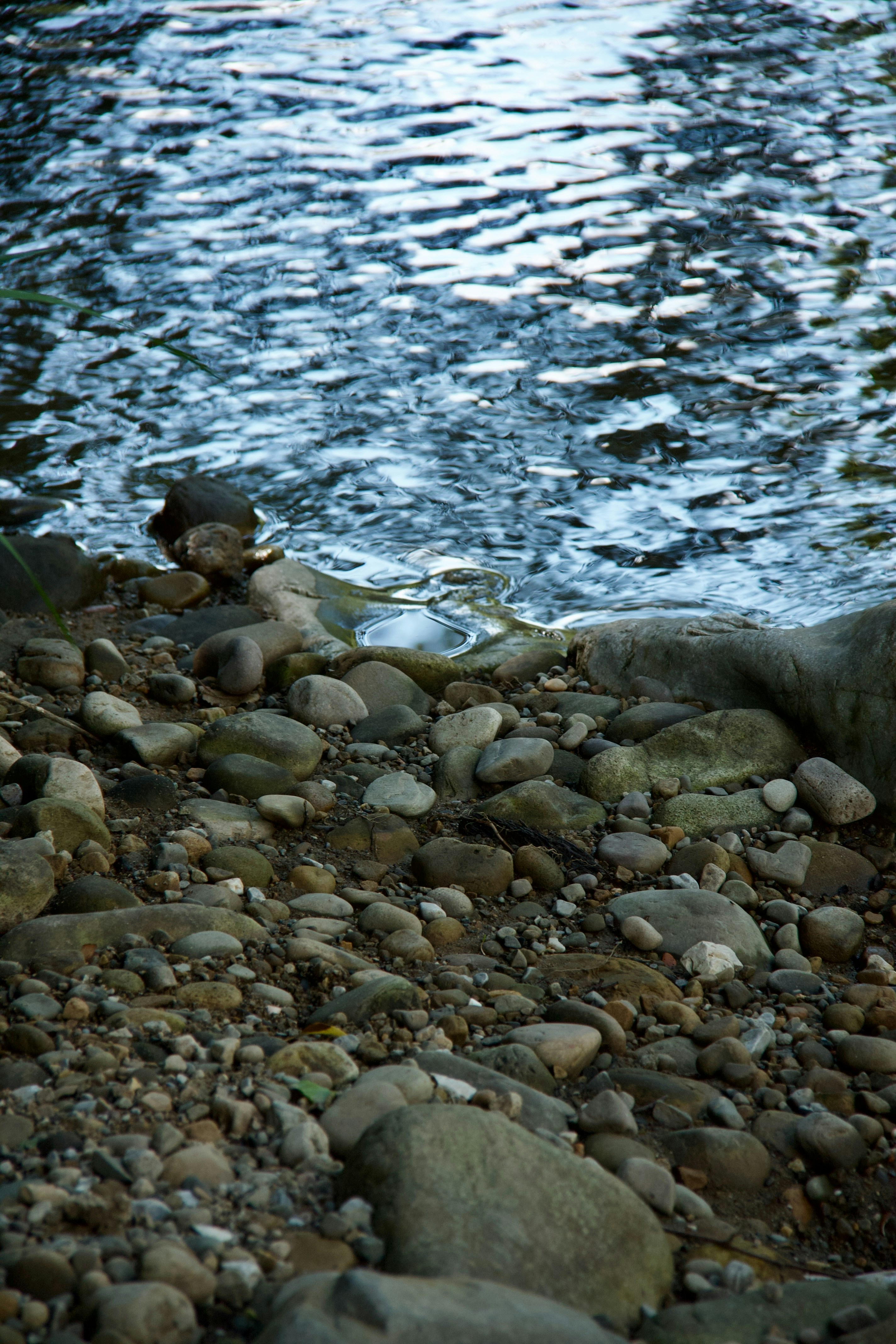 Photo by pablo_saancheezz