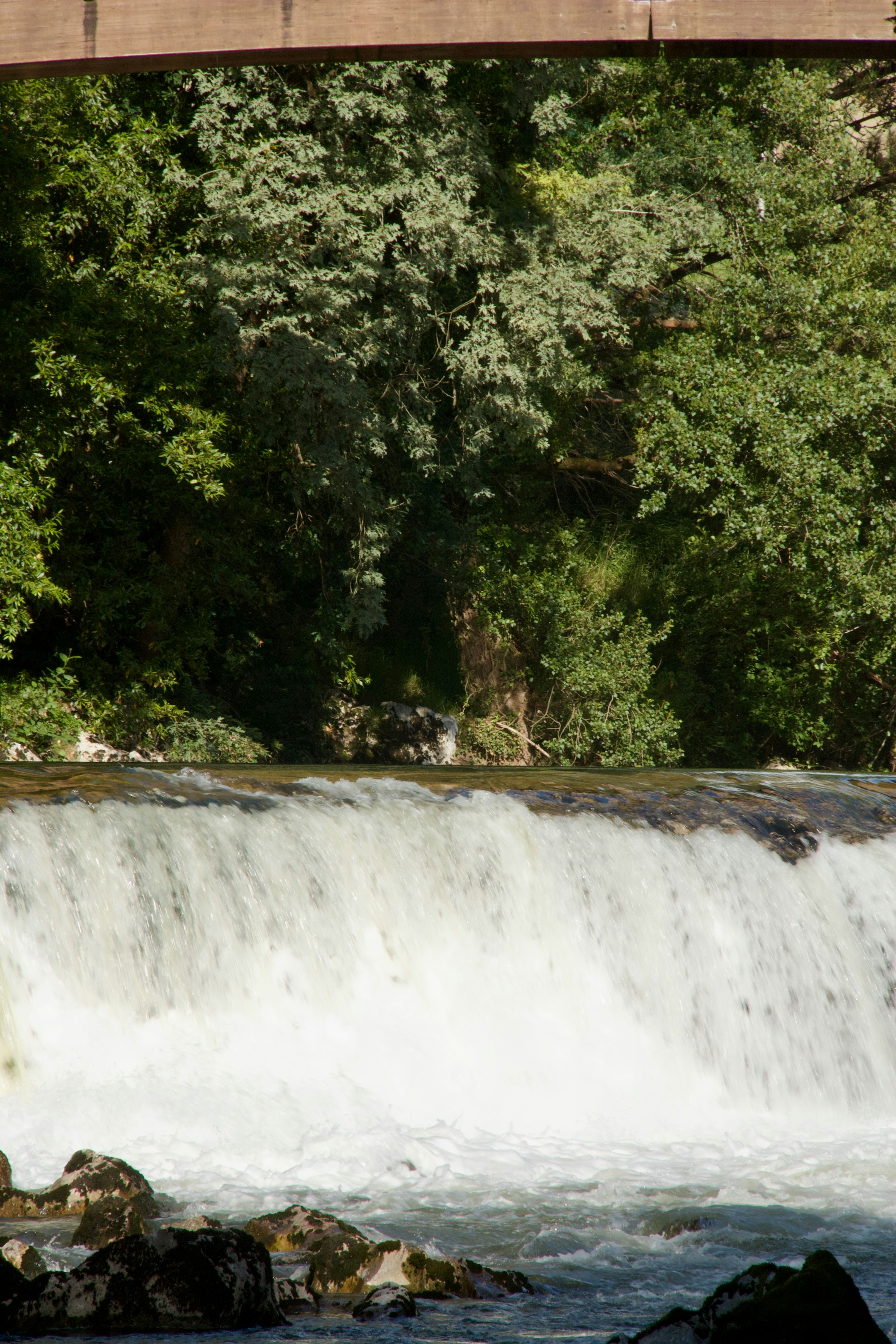 Photo by pablo_saancheezz