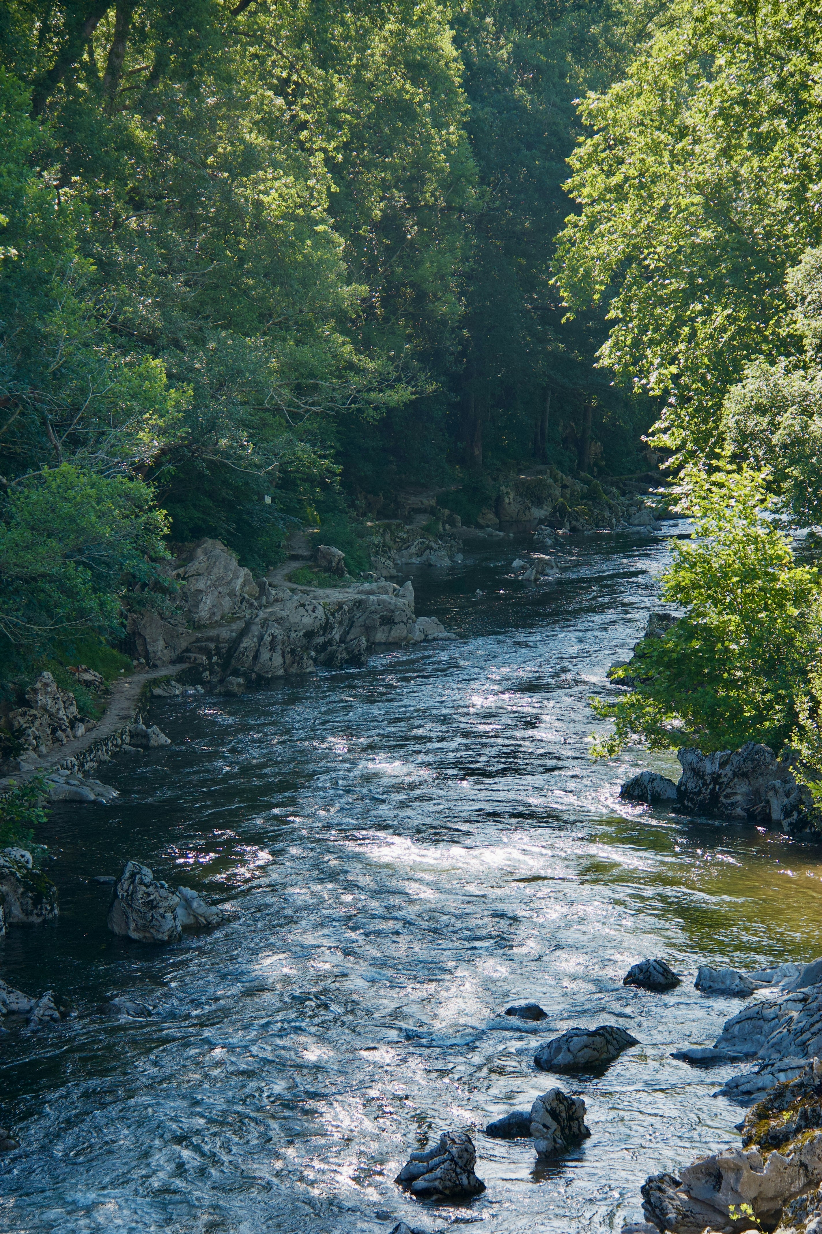 Photo by pablo_saancheezz