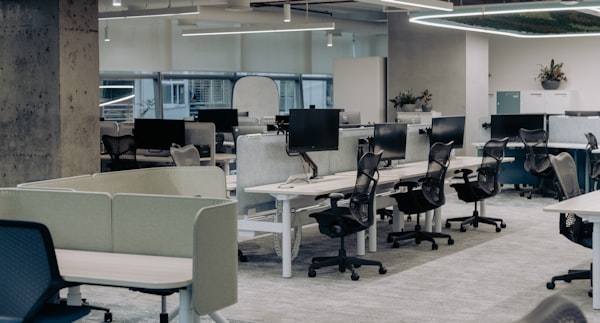 Contemporary office interior fit-out with workstations