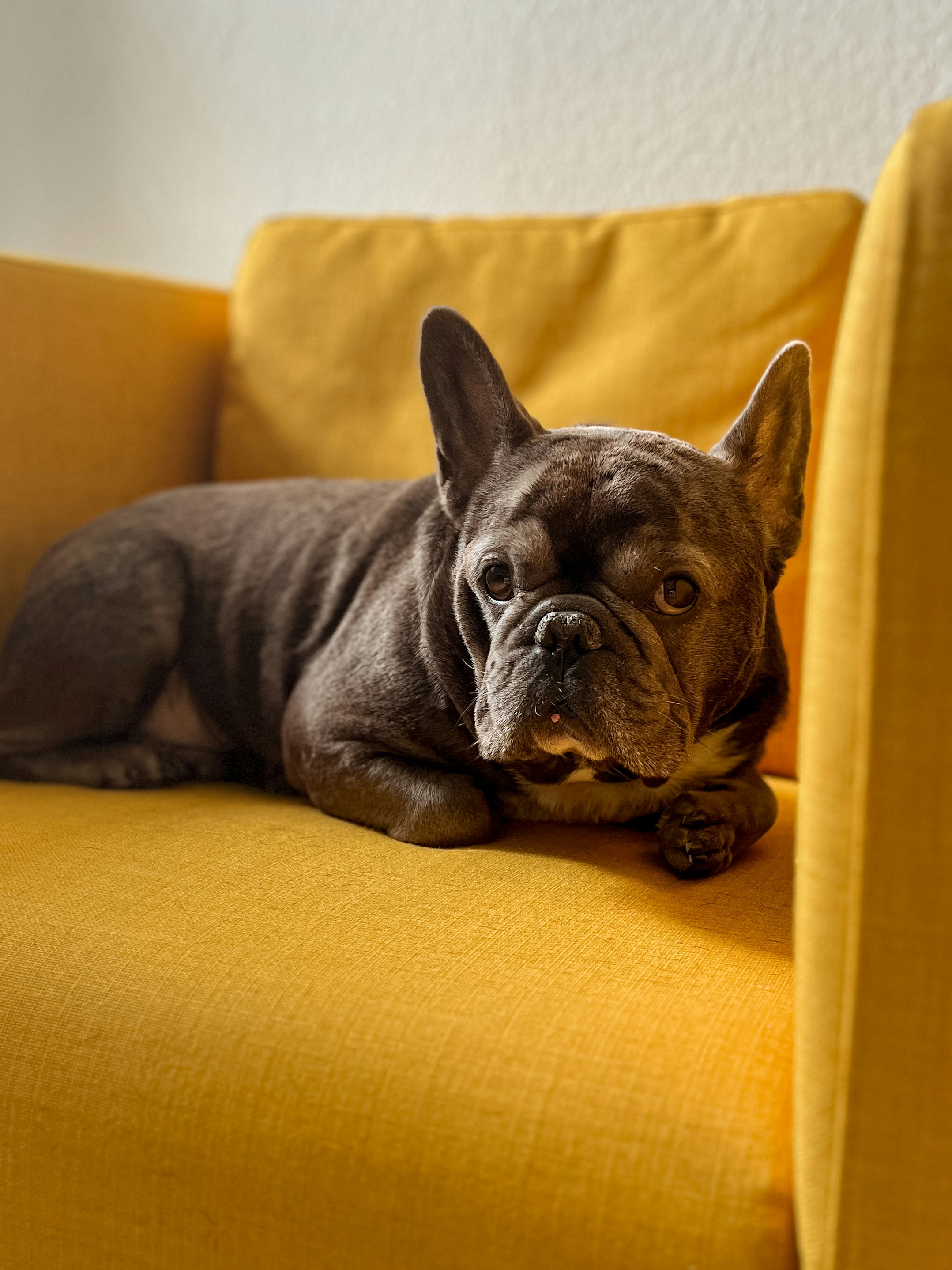 Photo by molnarmariaa