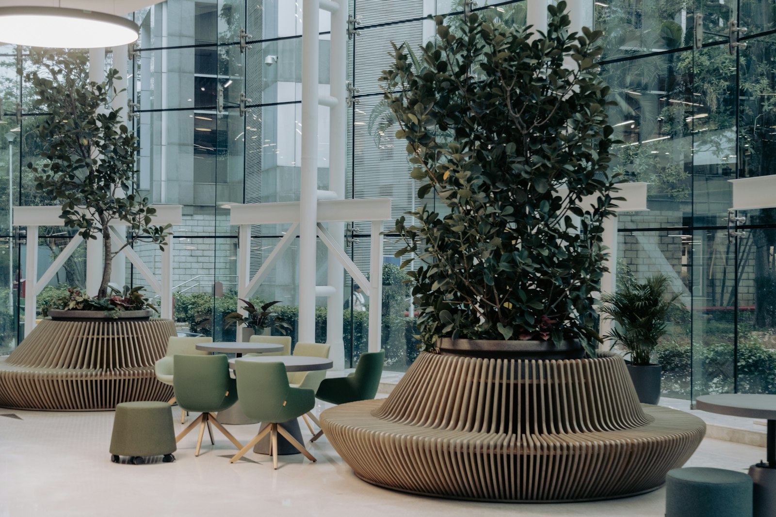 Office plants