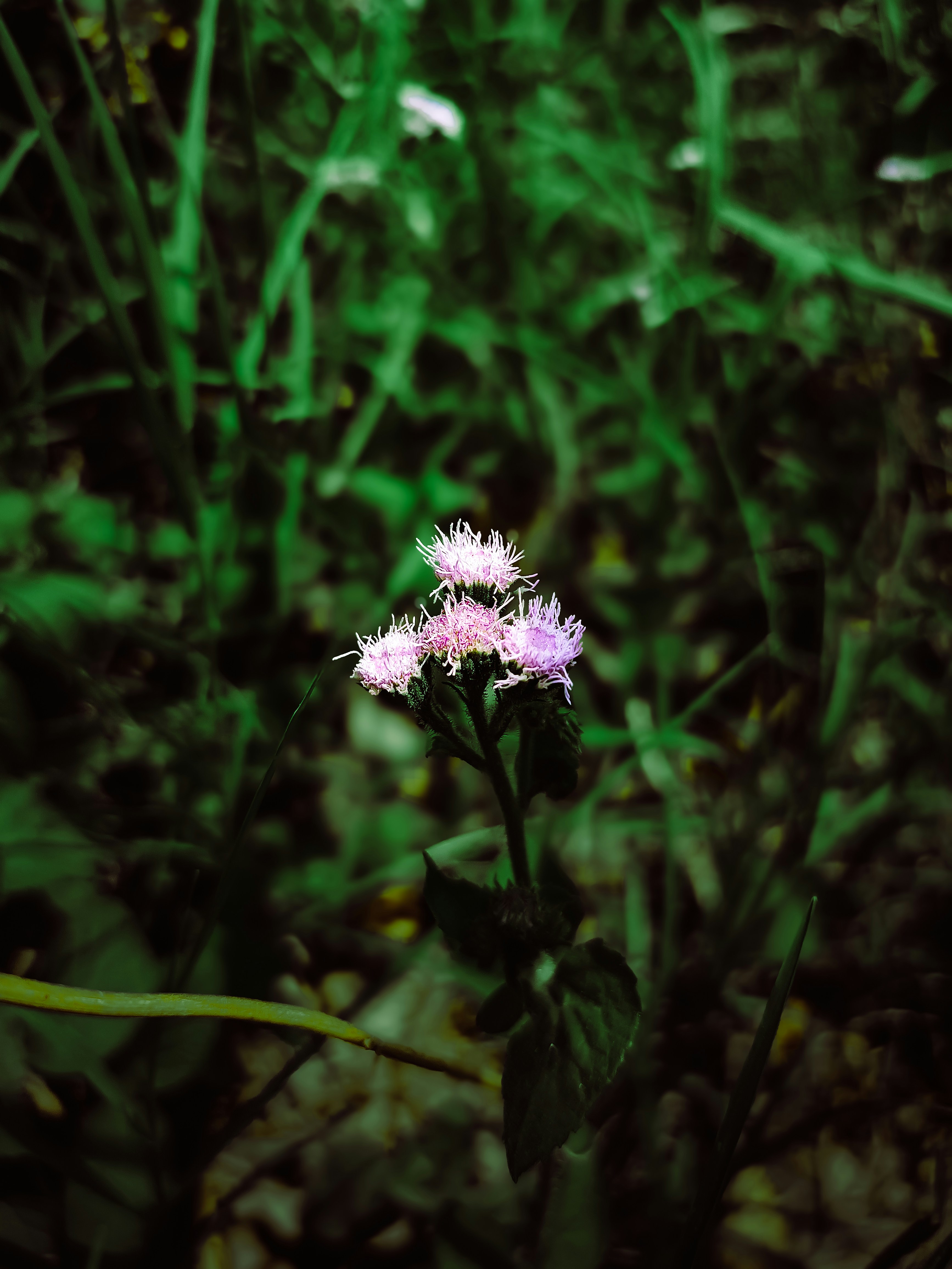 Photo by yadav_nilesh004