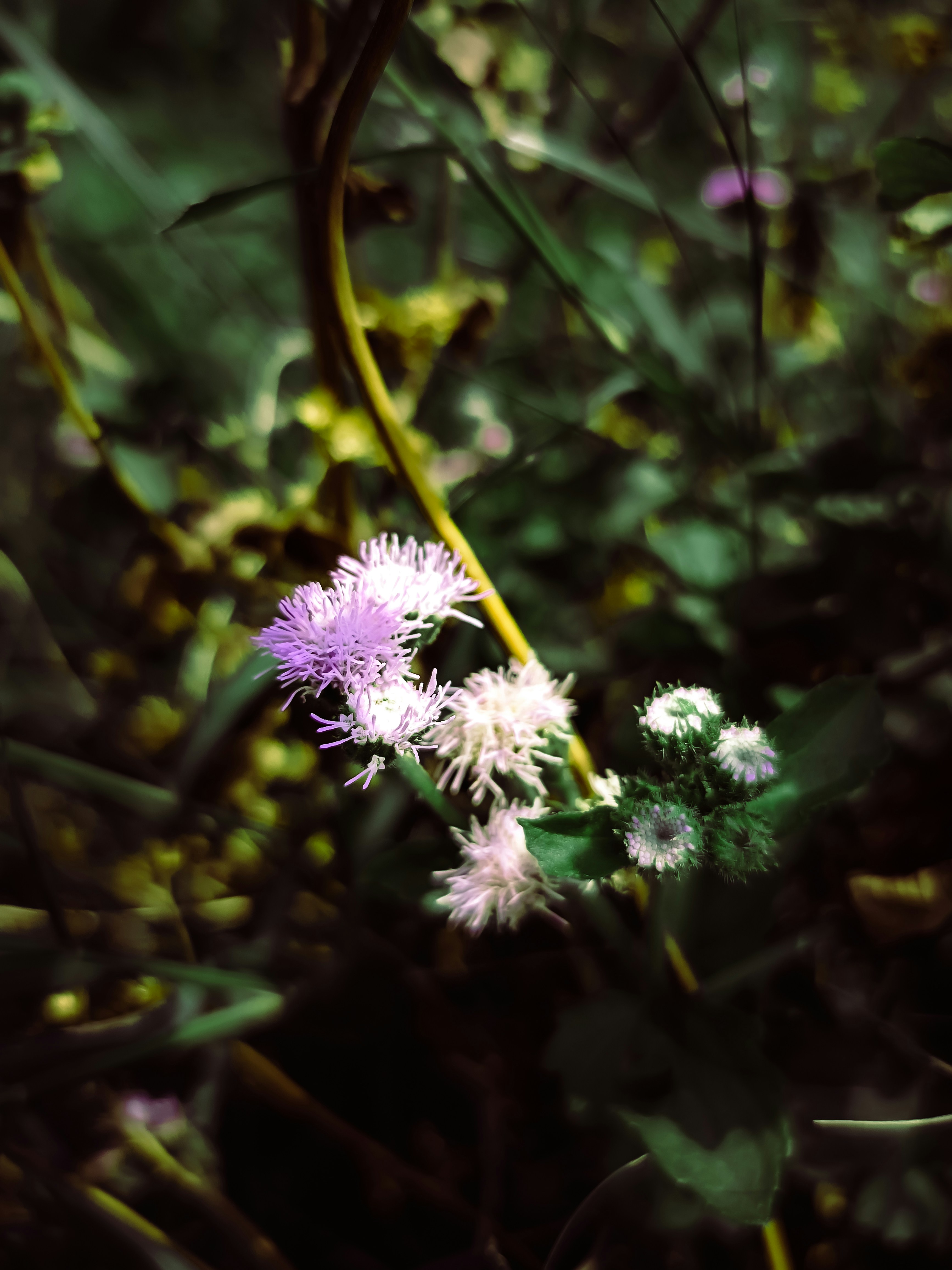 Photo by yadav_nilesh004