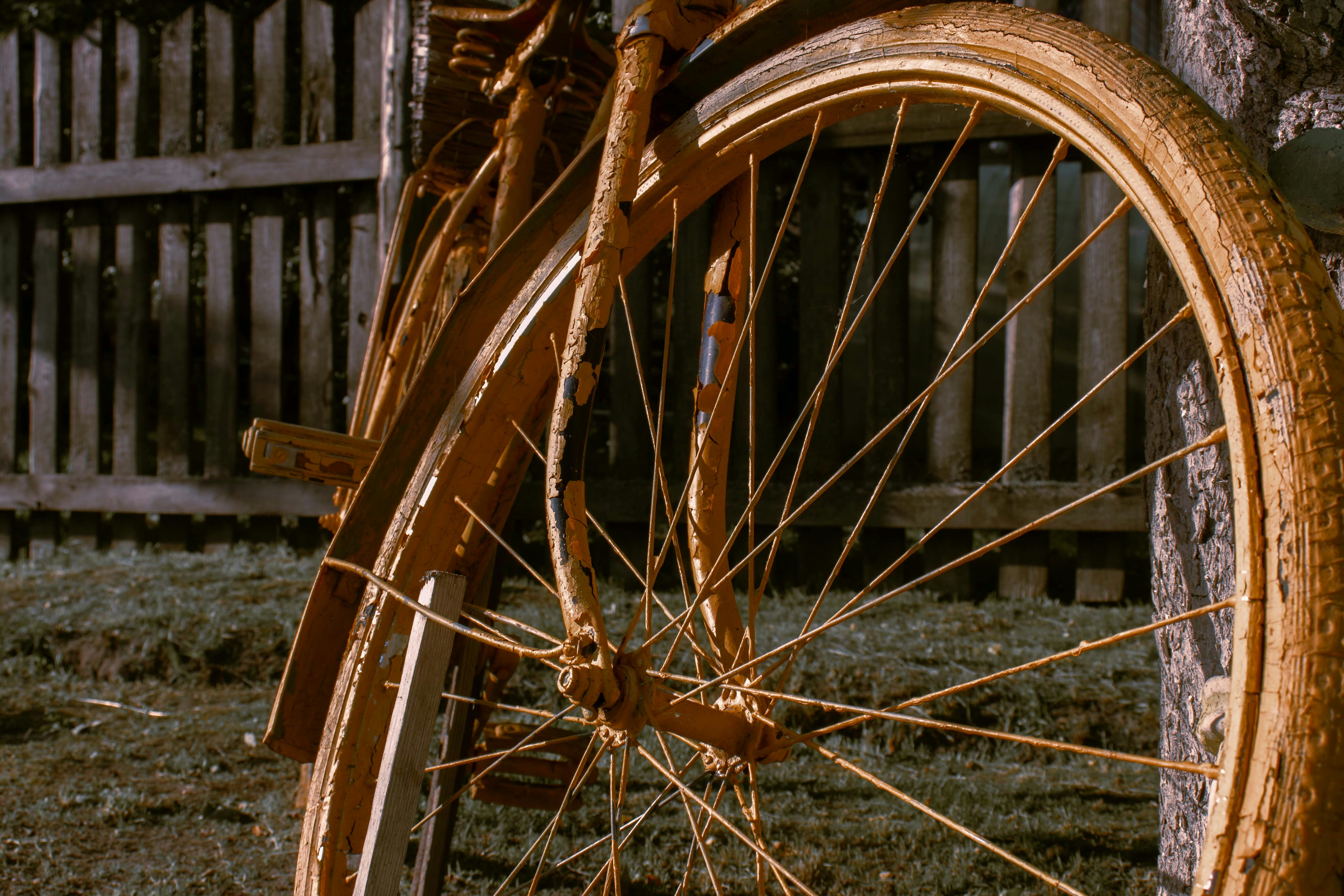 a close up of a bike tire near a tree