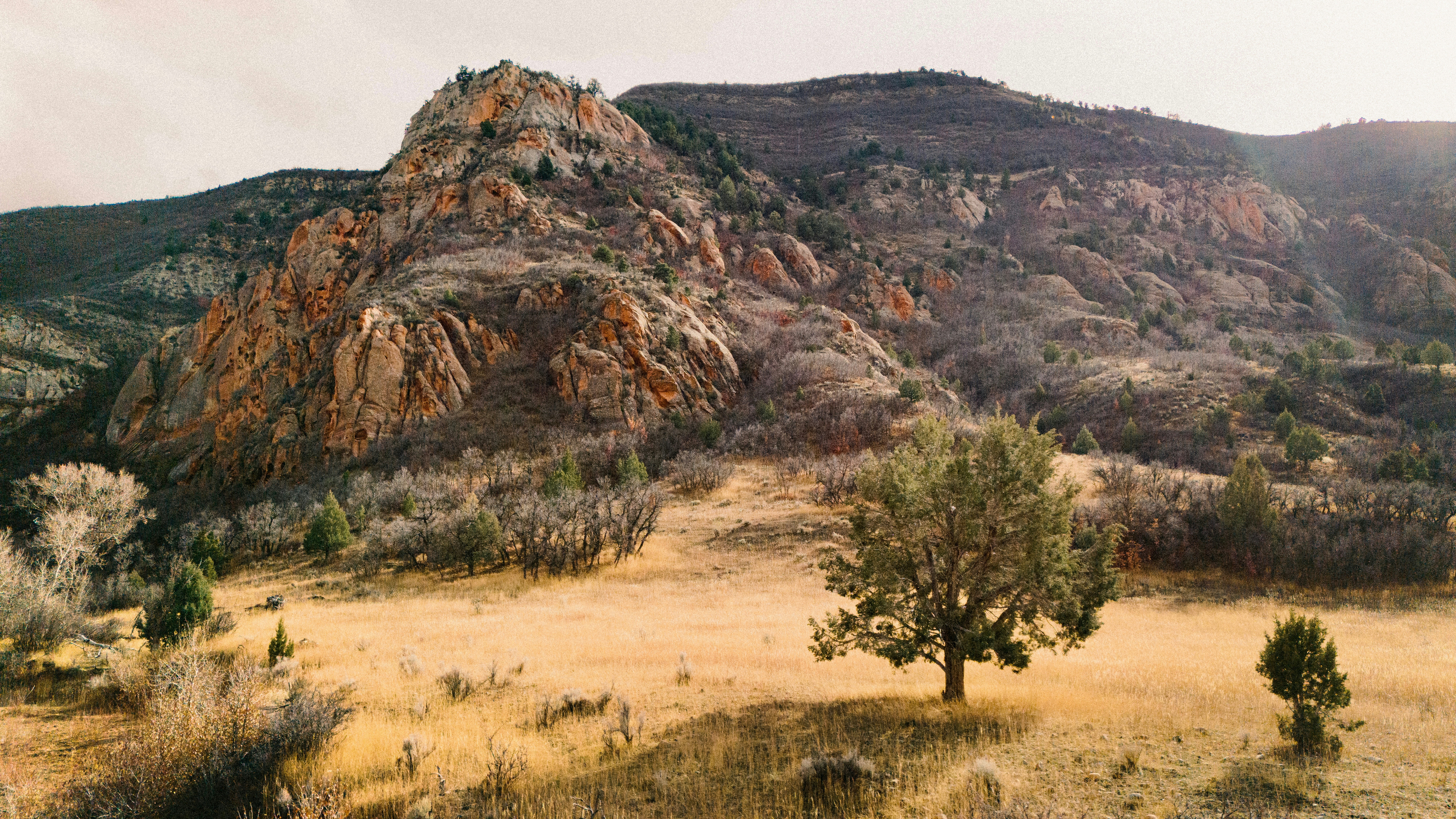 Photo by jacksphoto24