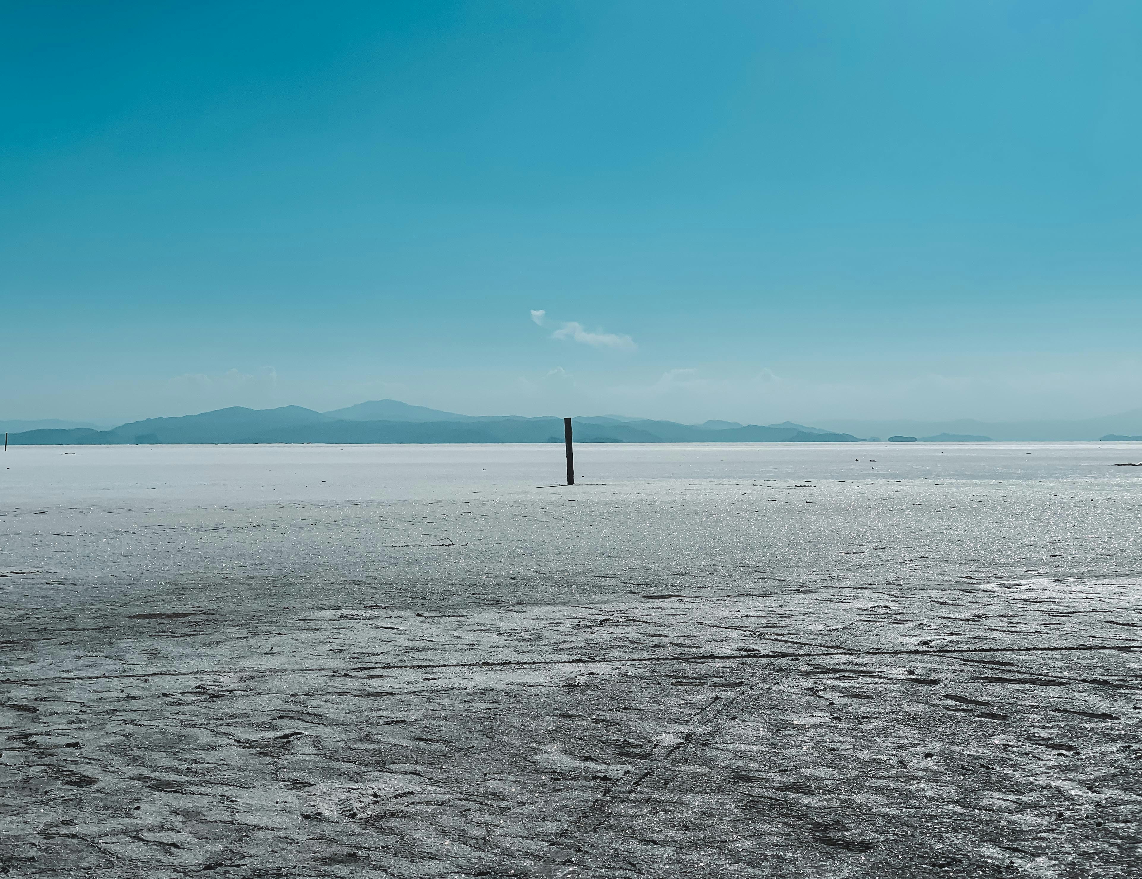 Photo by pouyamousighichi