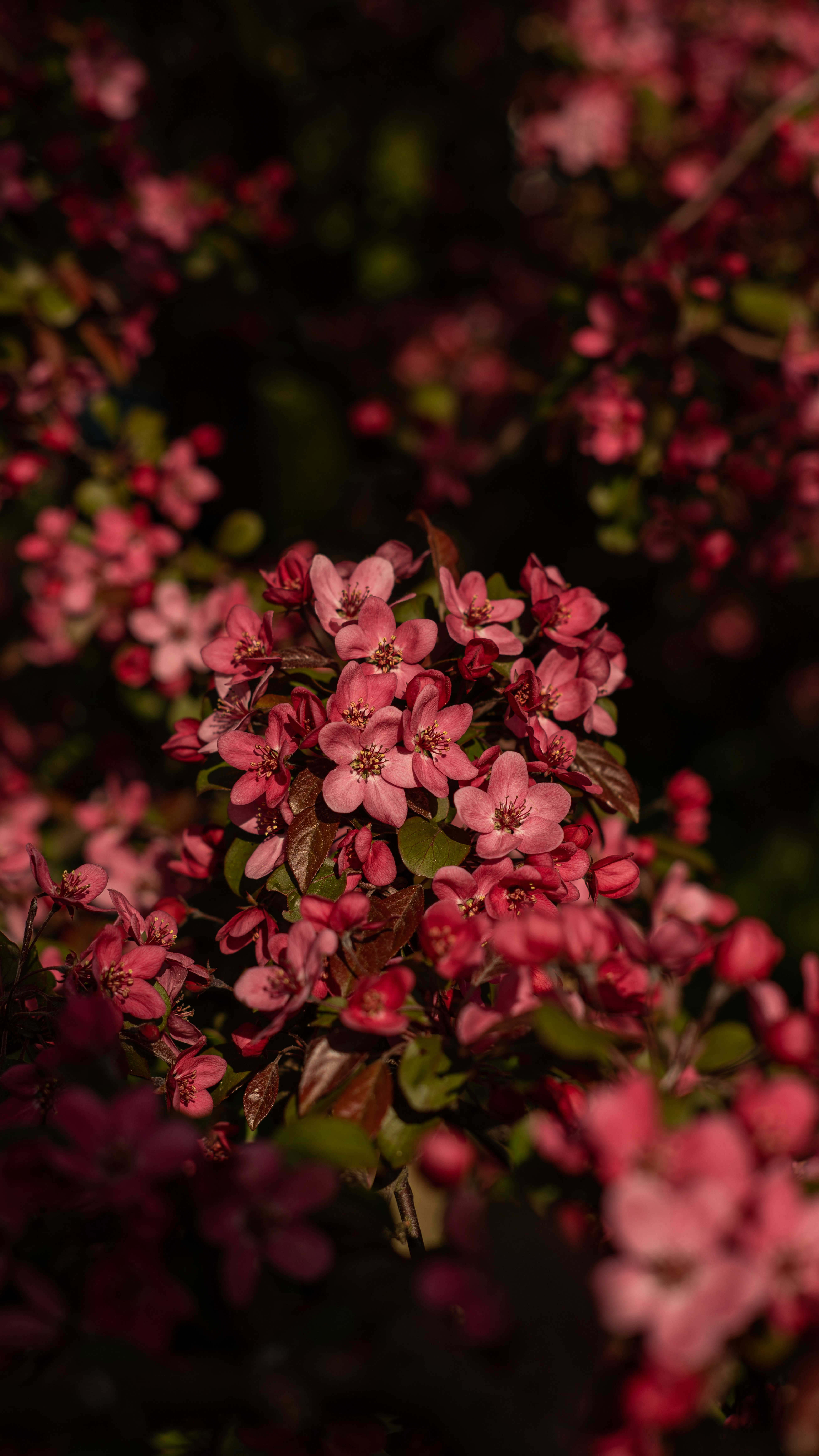 Photo by art_almighty