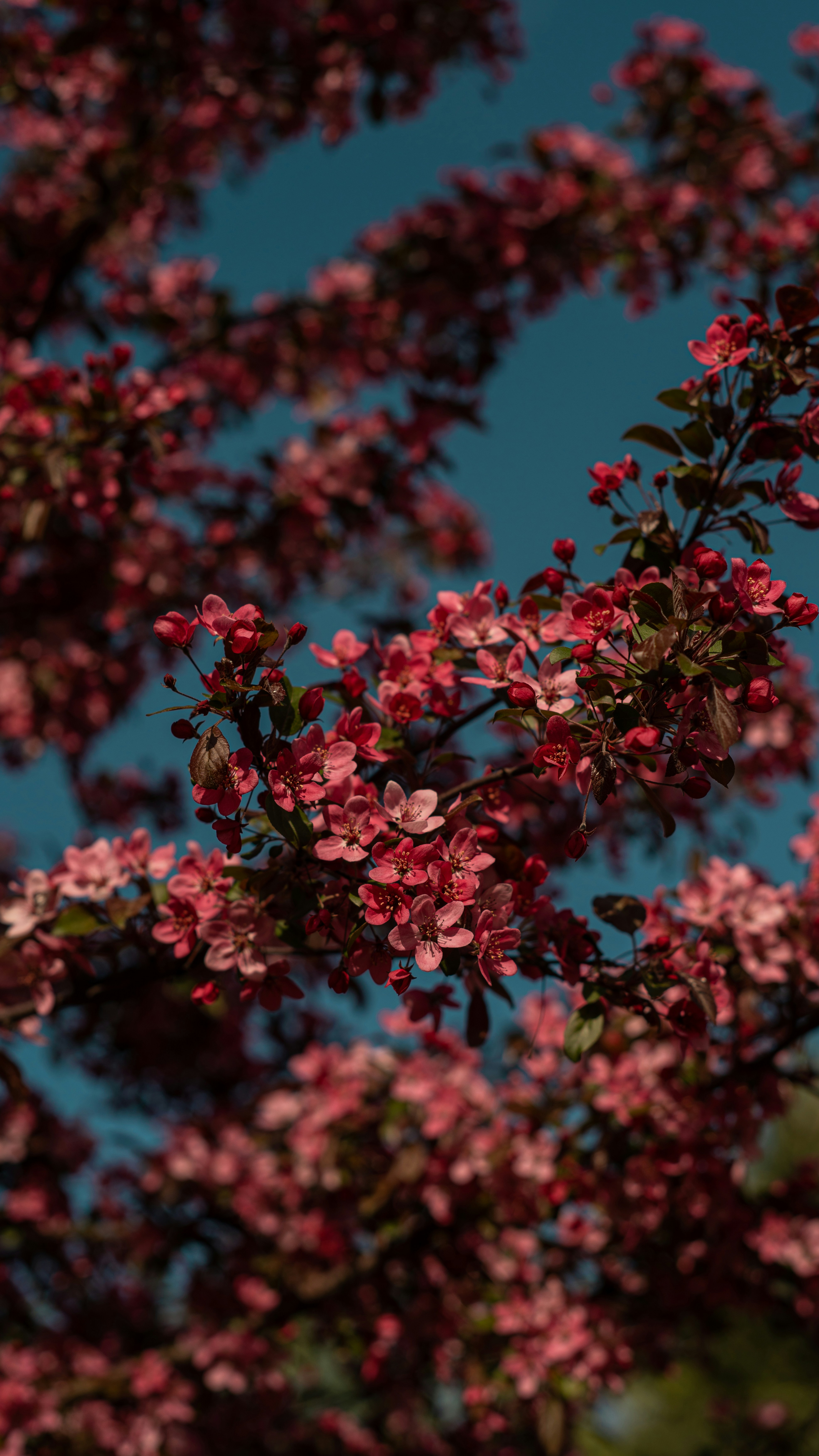 Photo by art_almighty