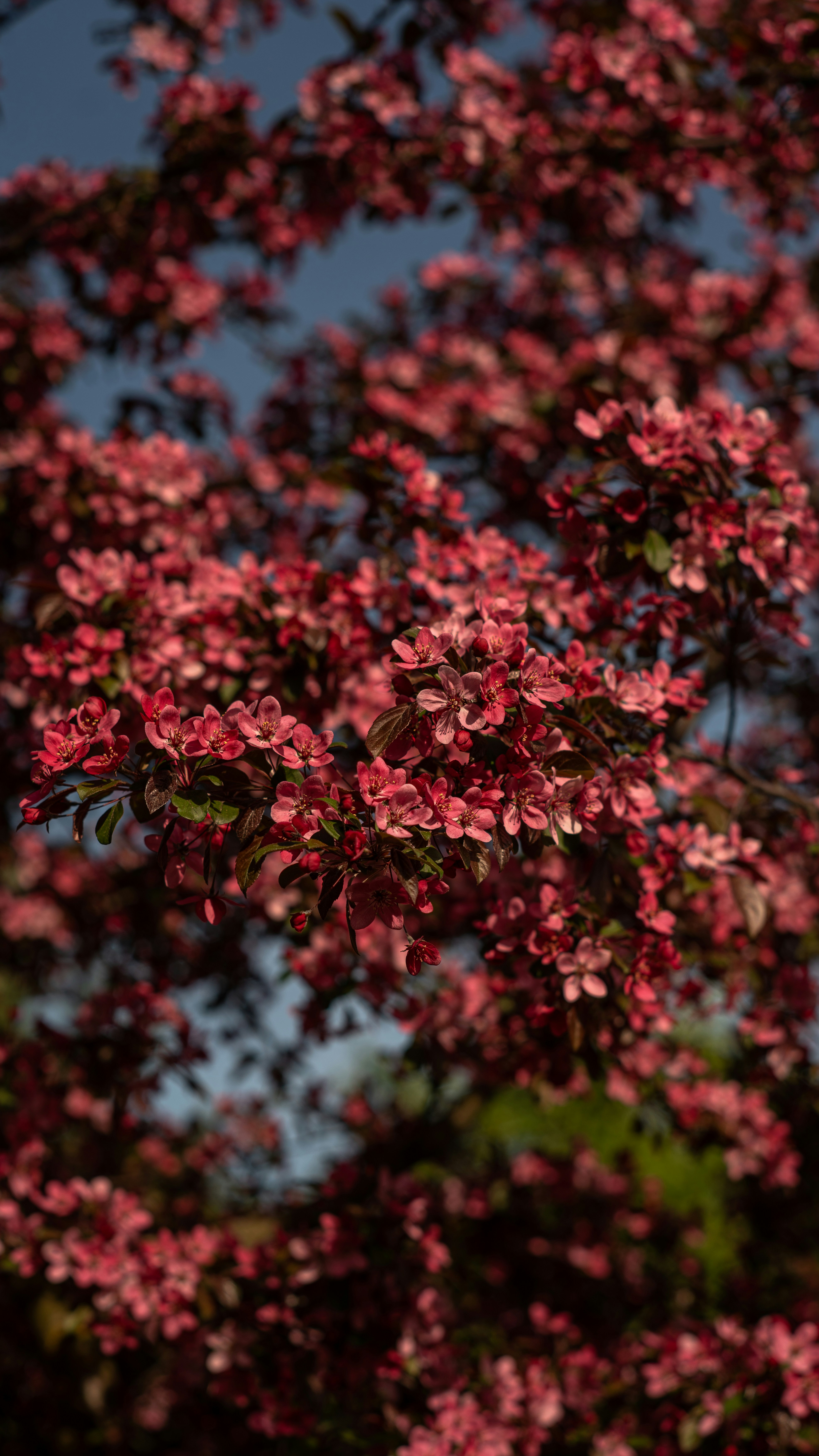 Photo by art_almighty