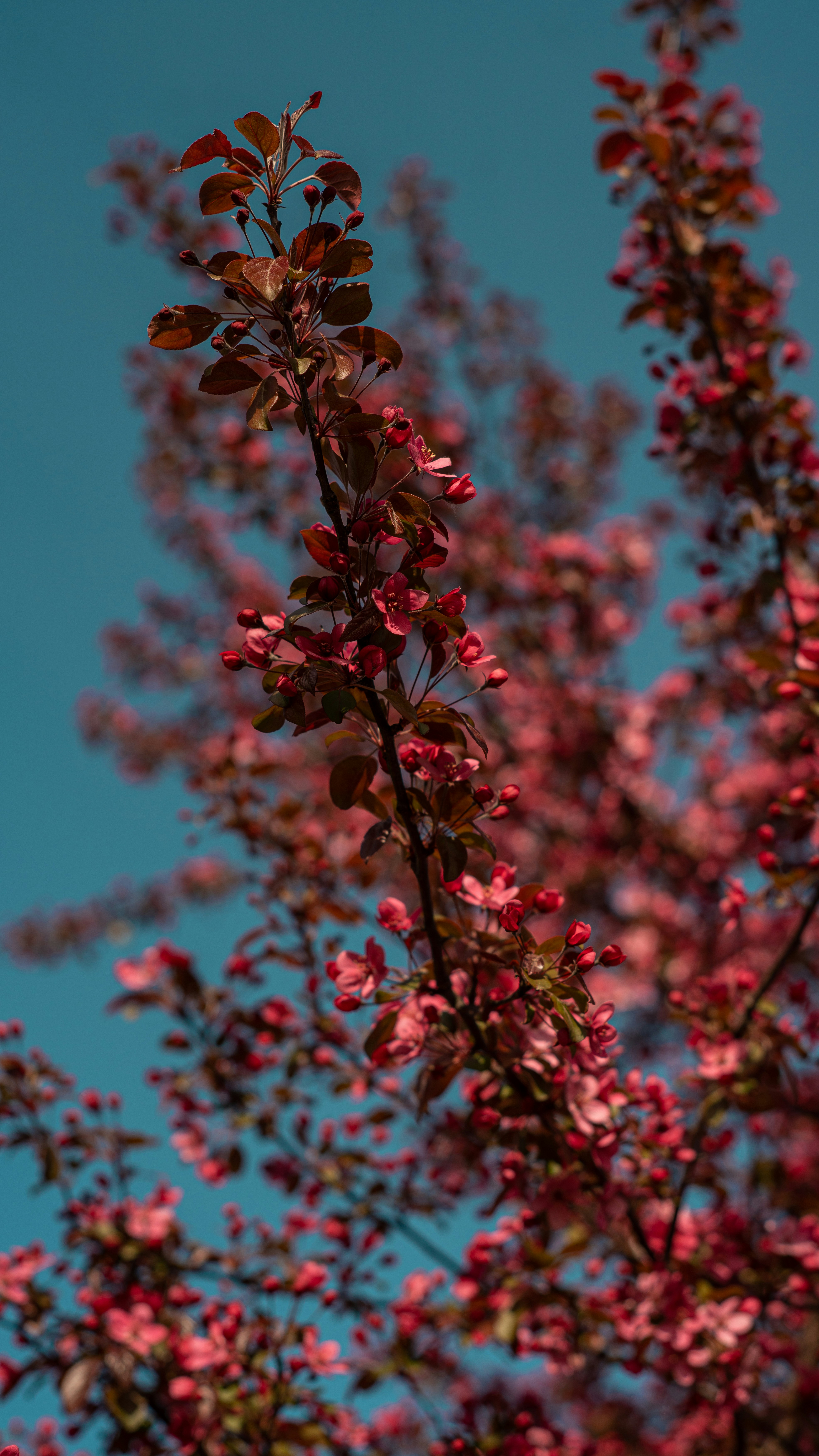 Photo by art_almighty