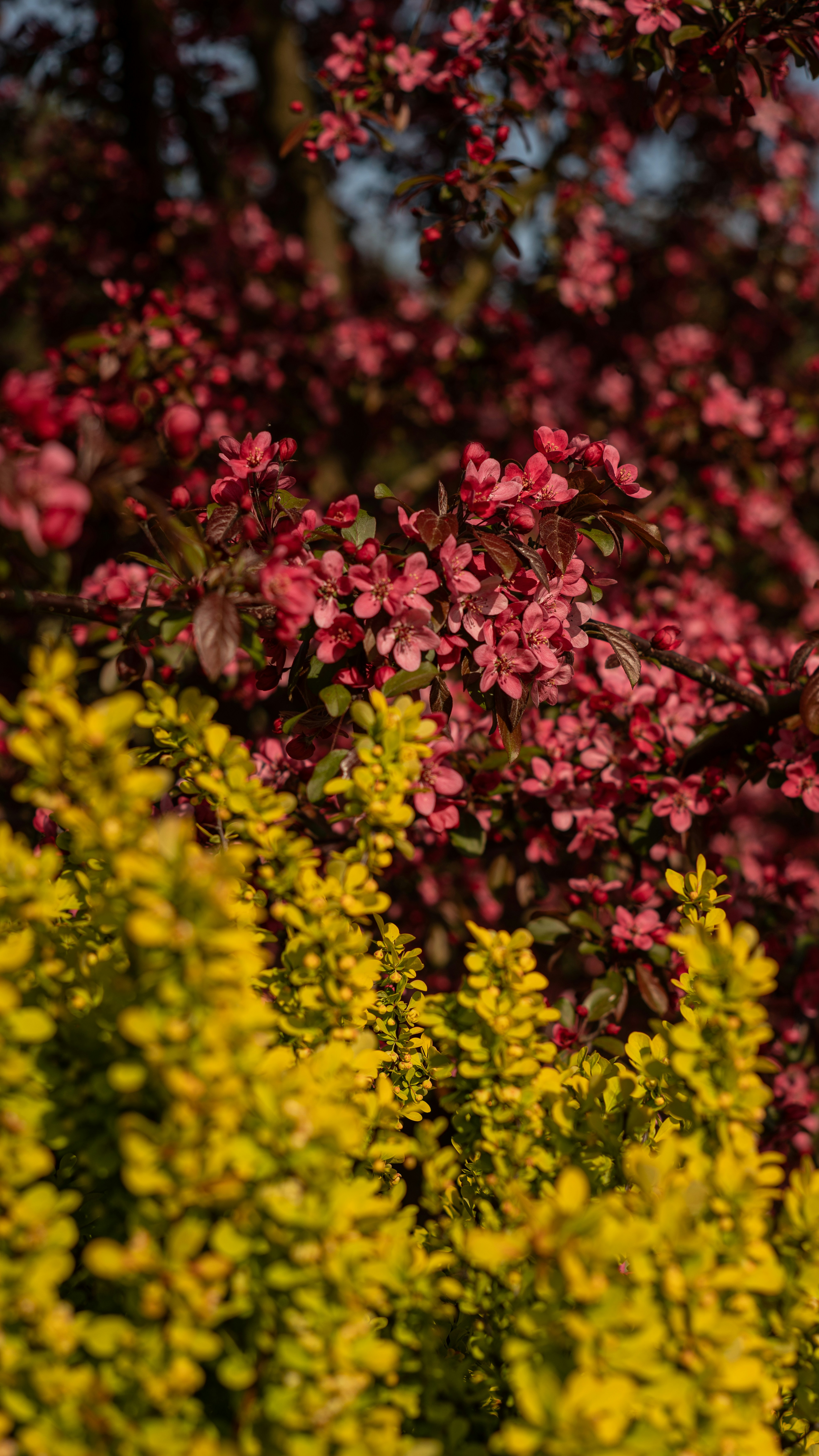 Photo by art_almighty