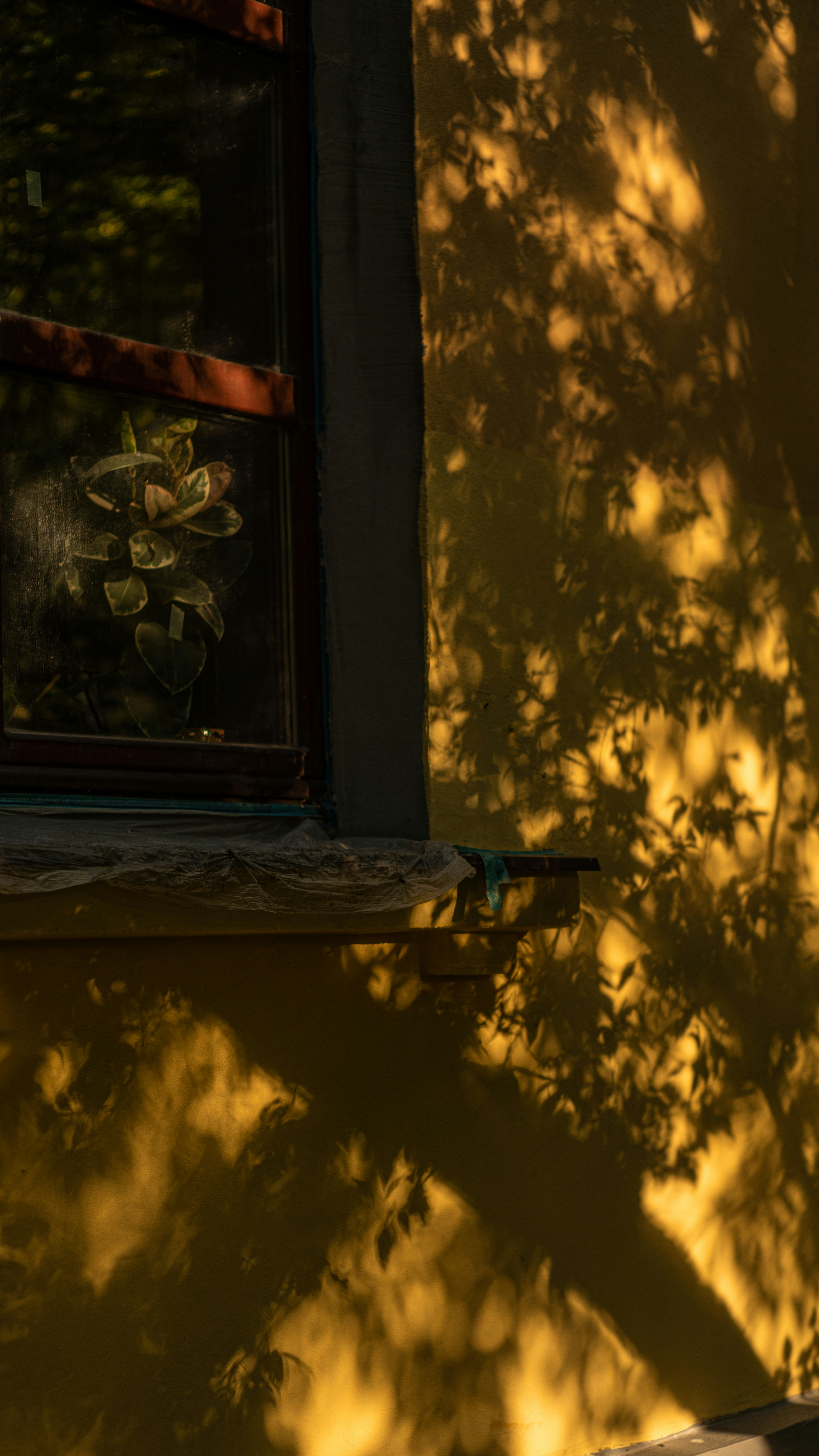 Photo by art_almighty