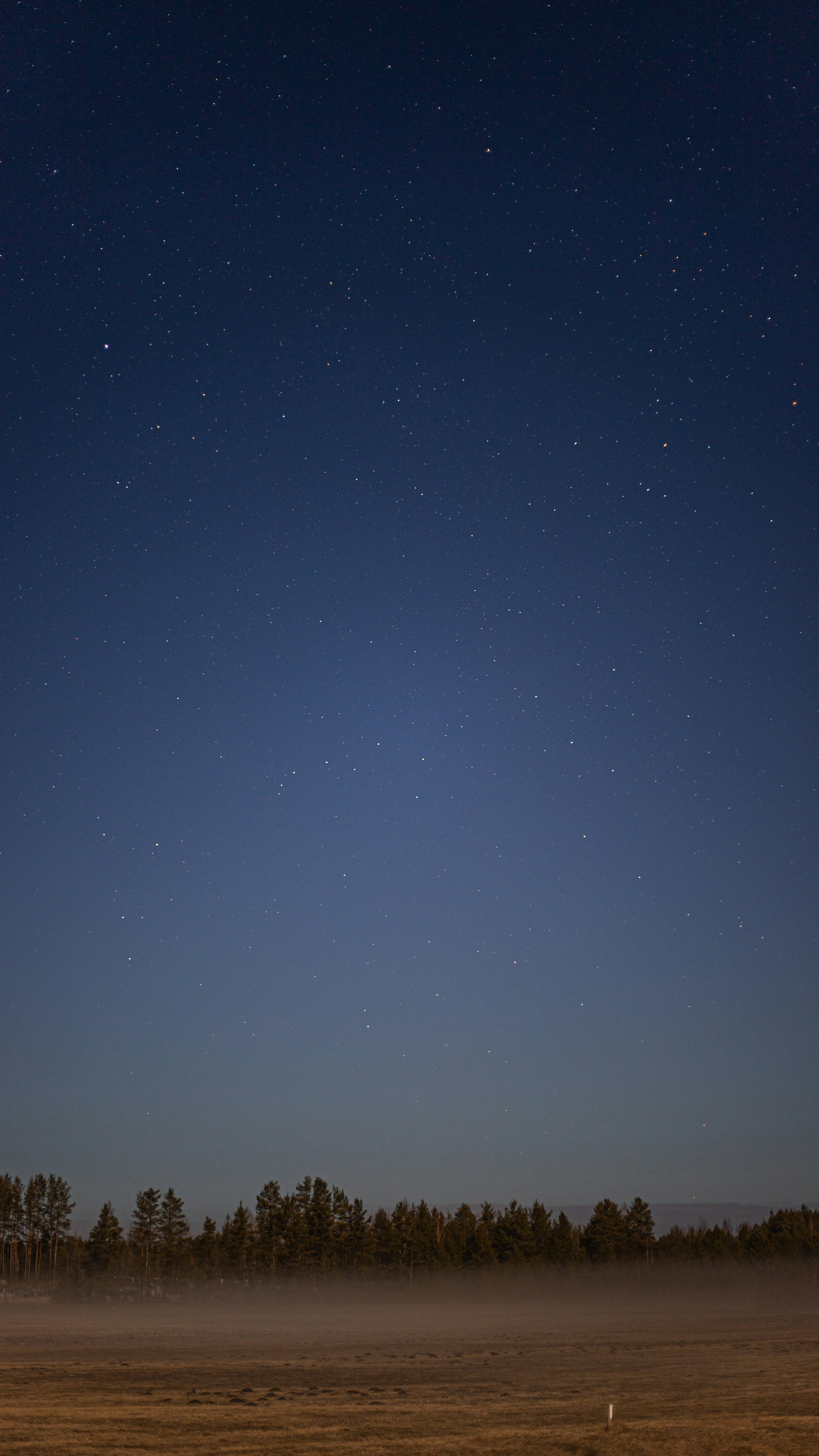 Photo by art_almighty