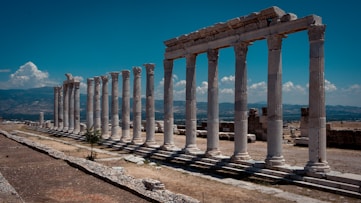 a row of columns in the middle of a field