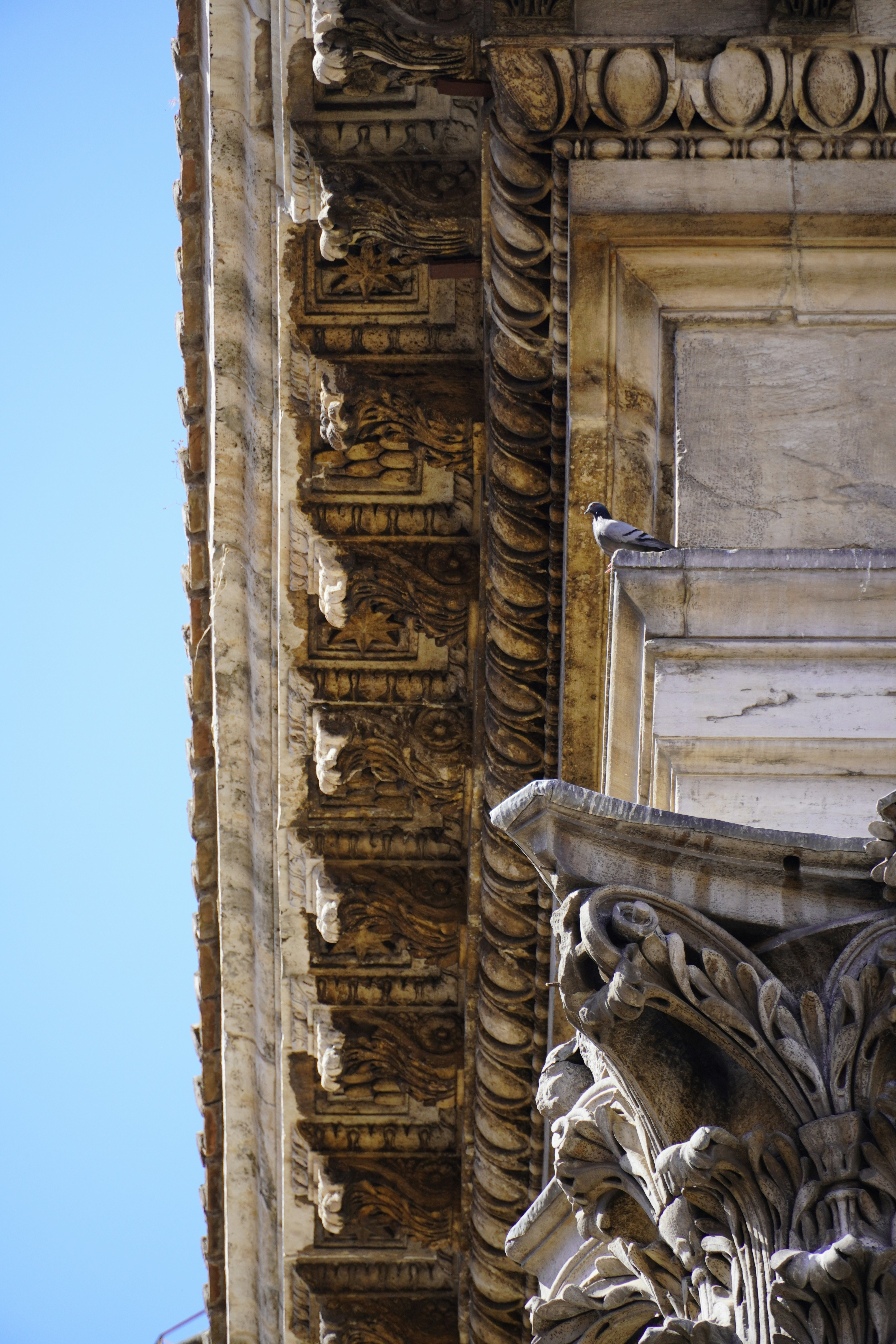 Photo by greenliustudio