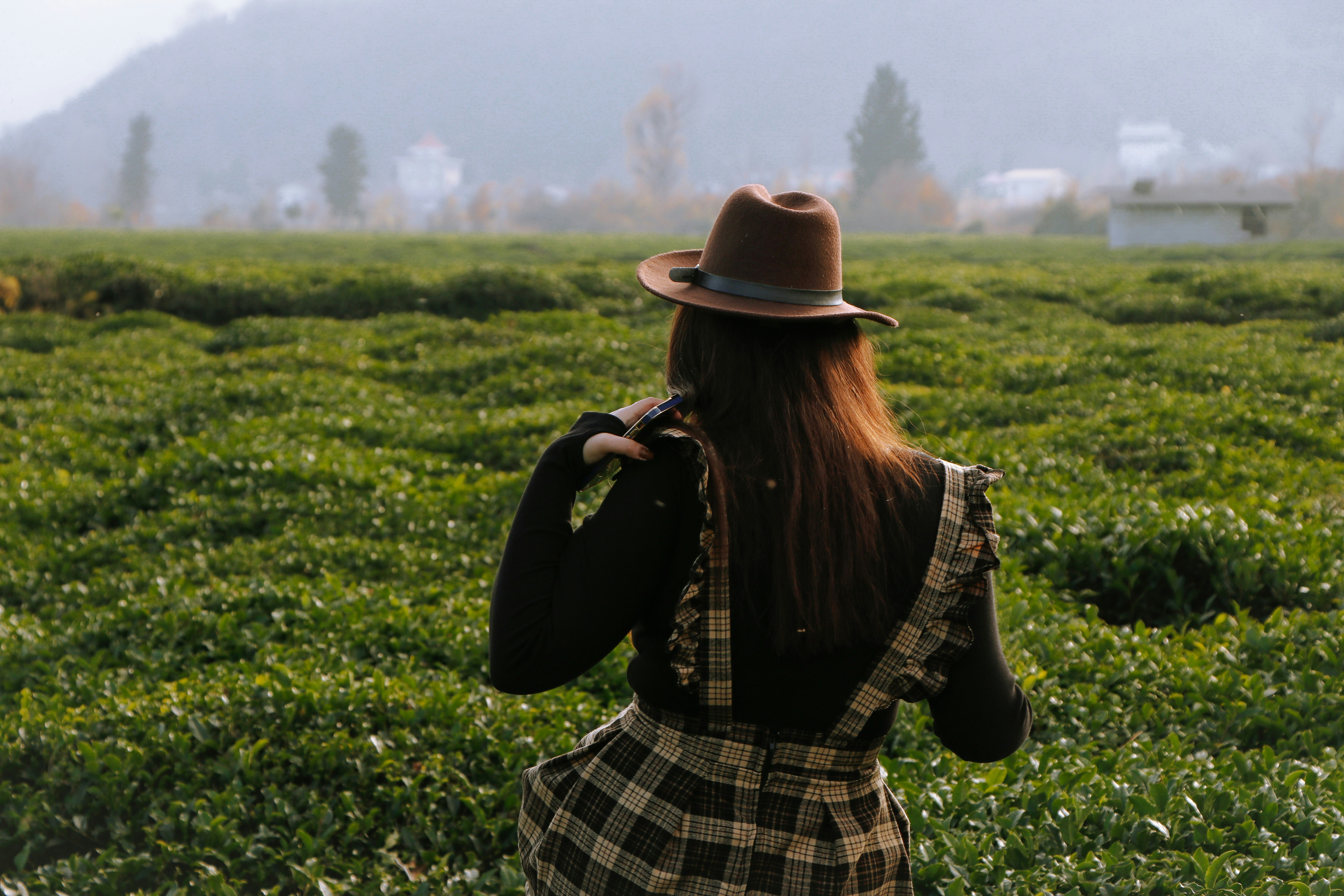 Photo by maryam_nikdel