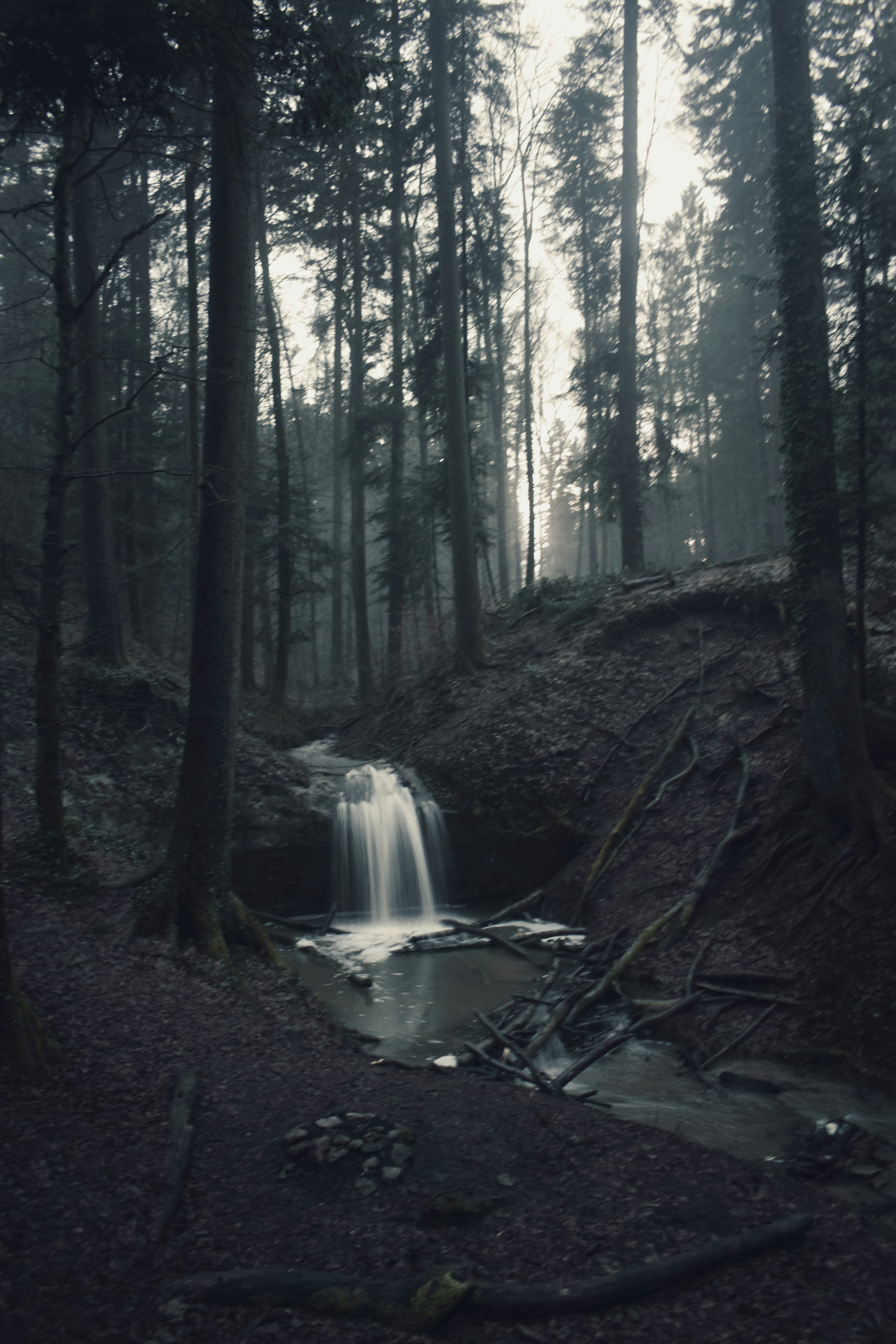 une petite cascade au milieu d’une forêt