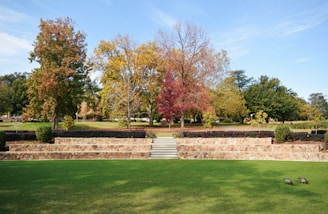 a grassy area with a stone wall and steps