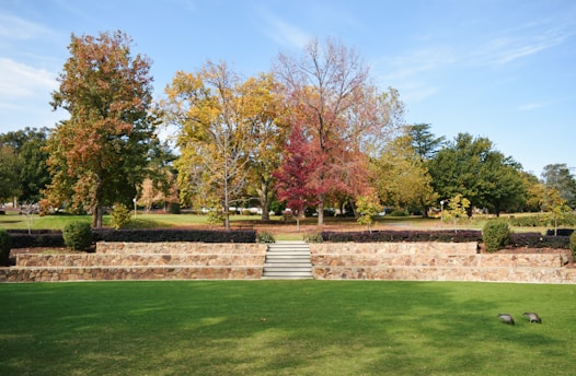 a grassy area with a stone wall and steps