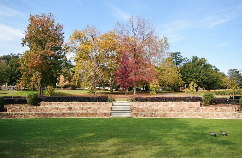 a grassy area with a stone wall and steps