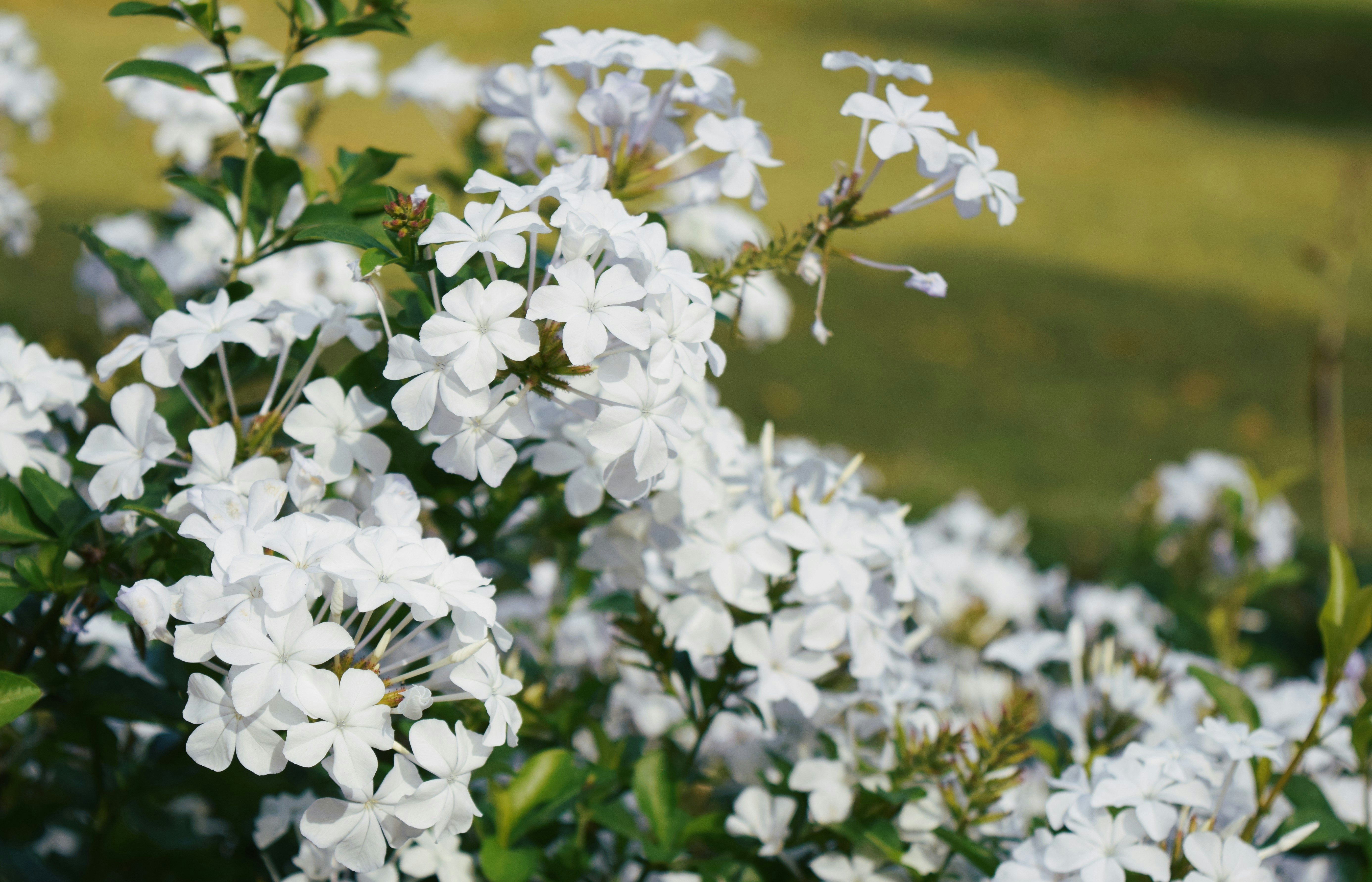 Photo by ch_photography