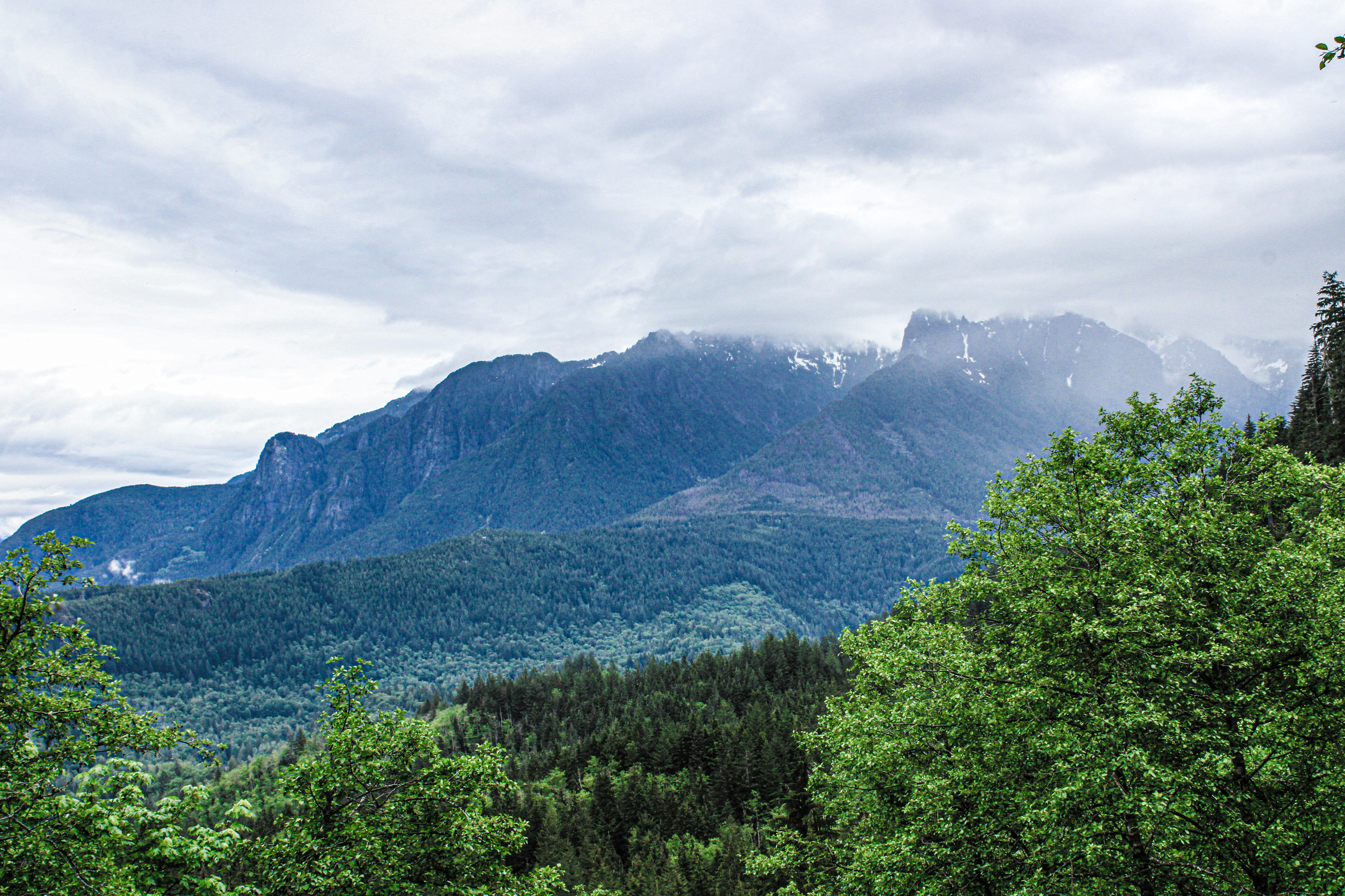 Photo by prphotography262