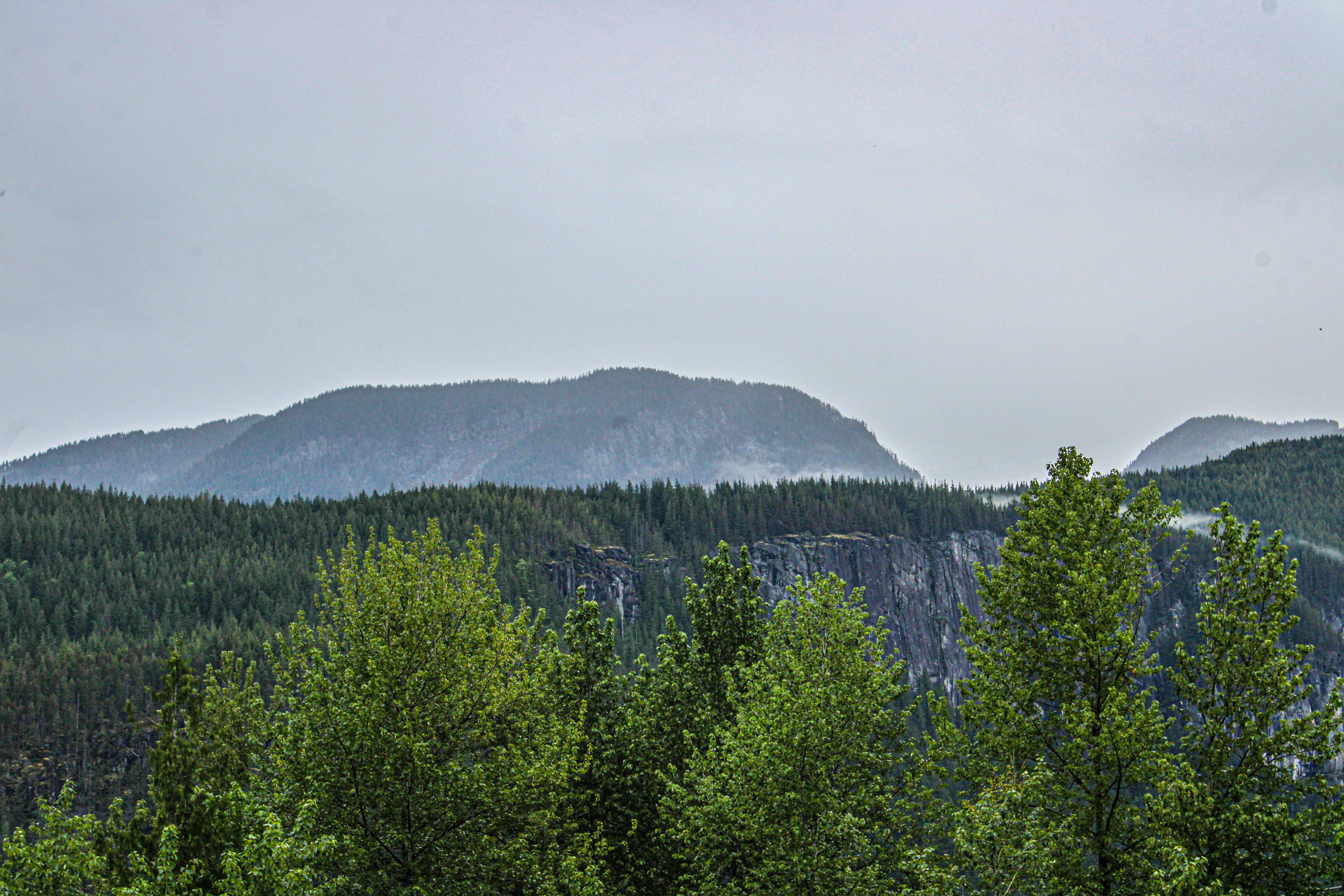 a view of a mountain range with trees in the foreground