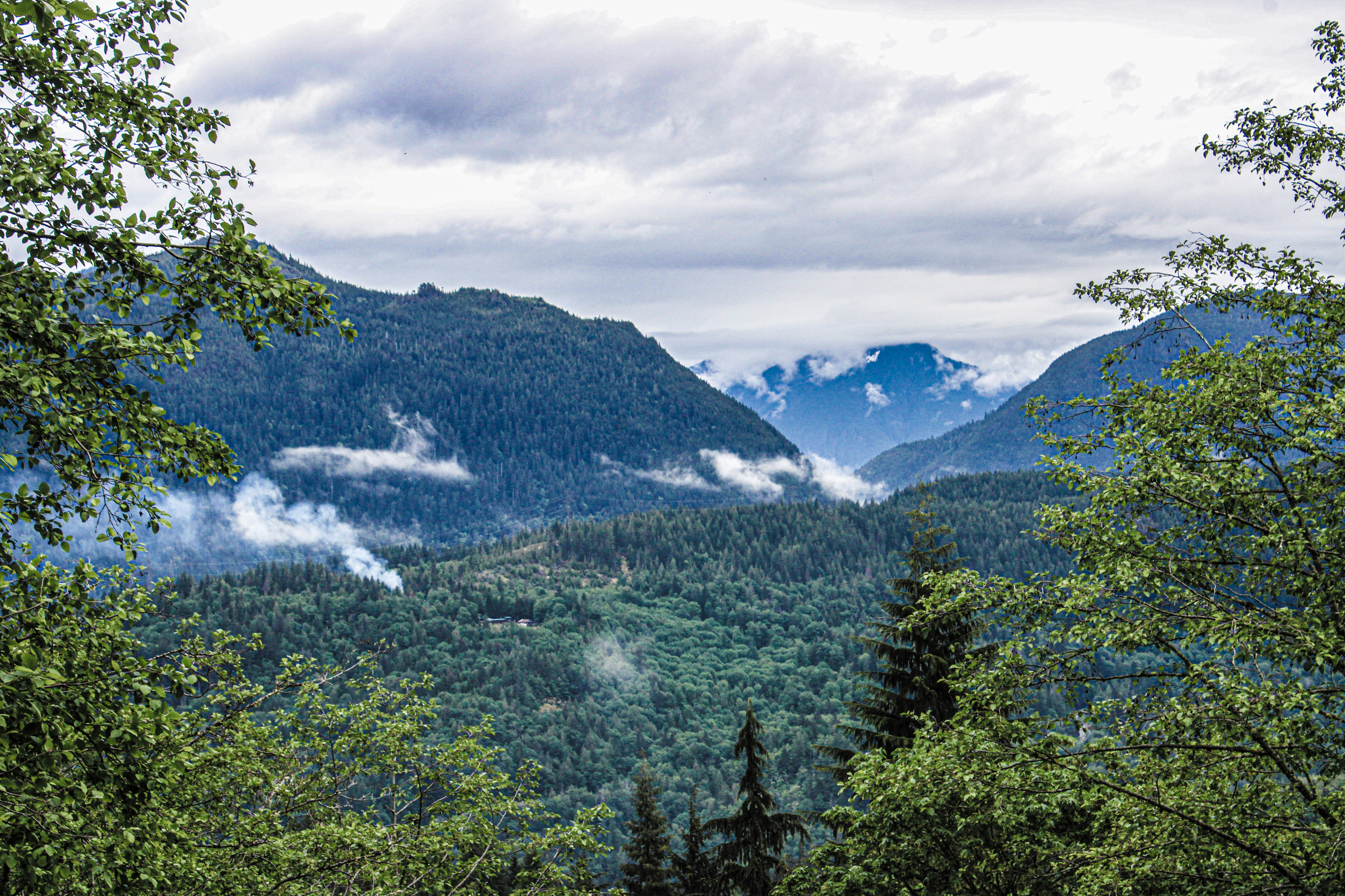 Photo by prphotography262