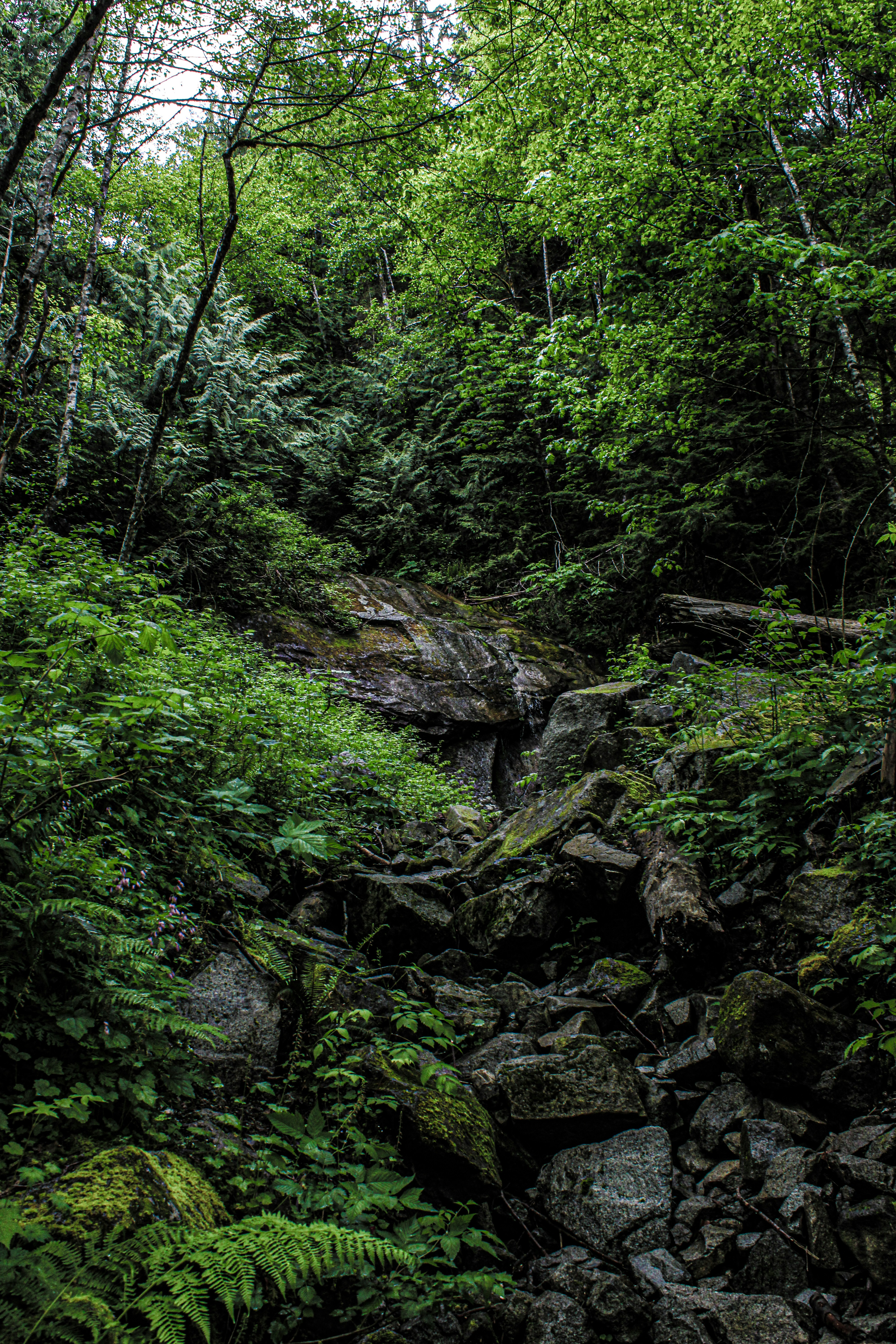 Photo by prphotography262