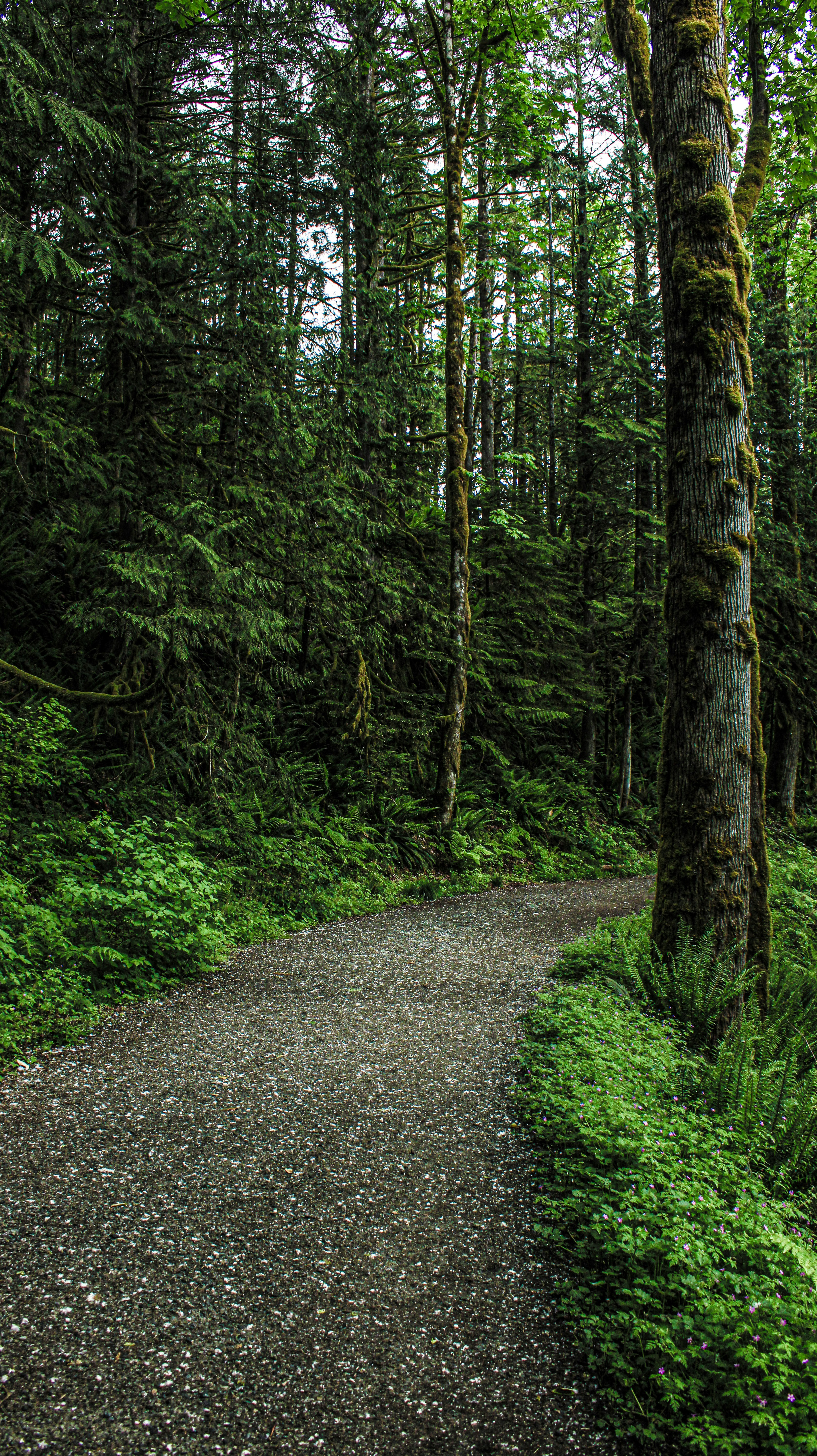 Photo by prphotography262