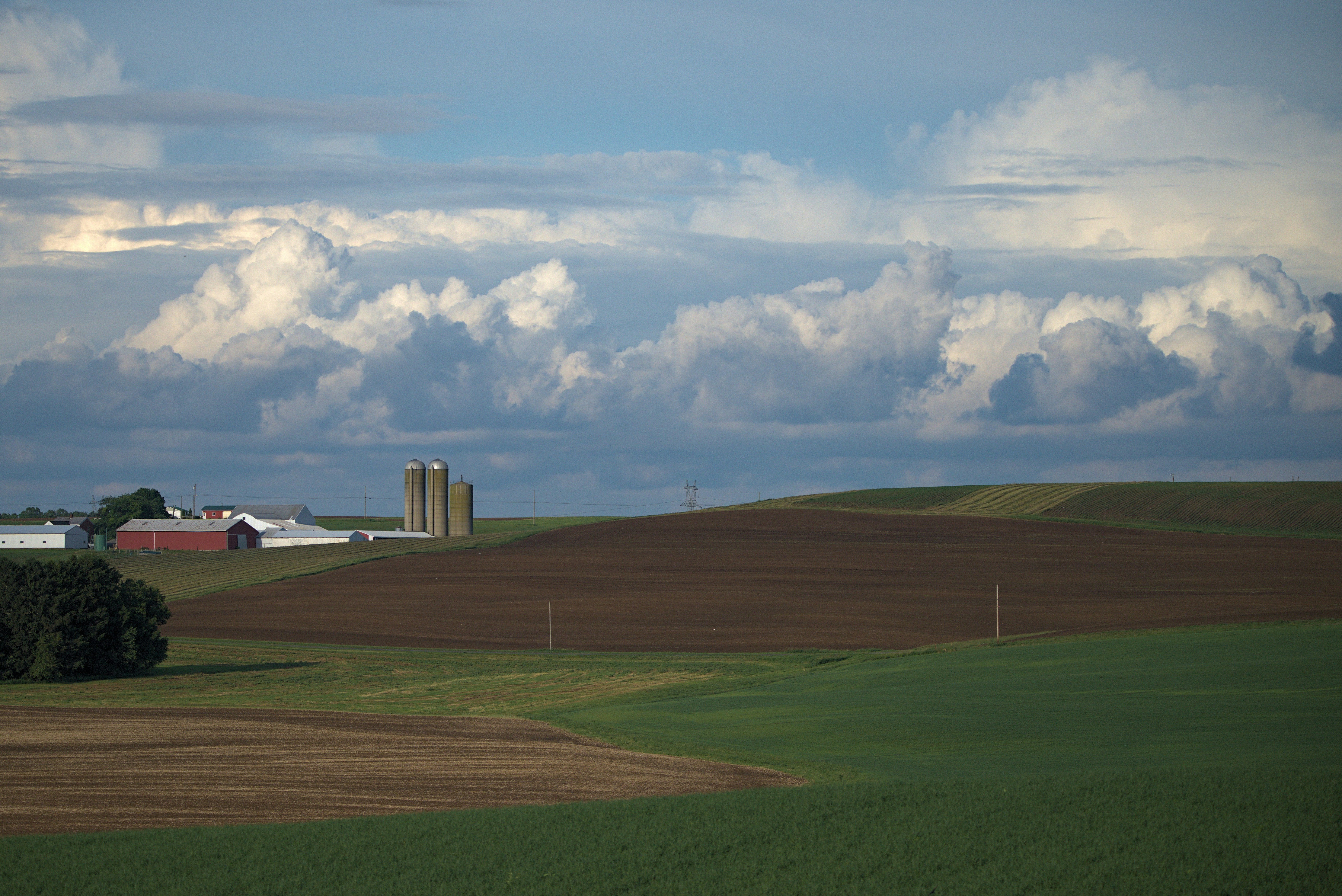 Photo by cbischoff