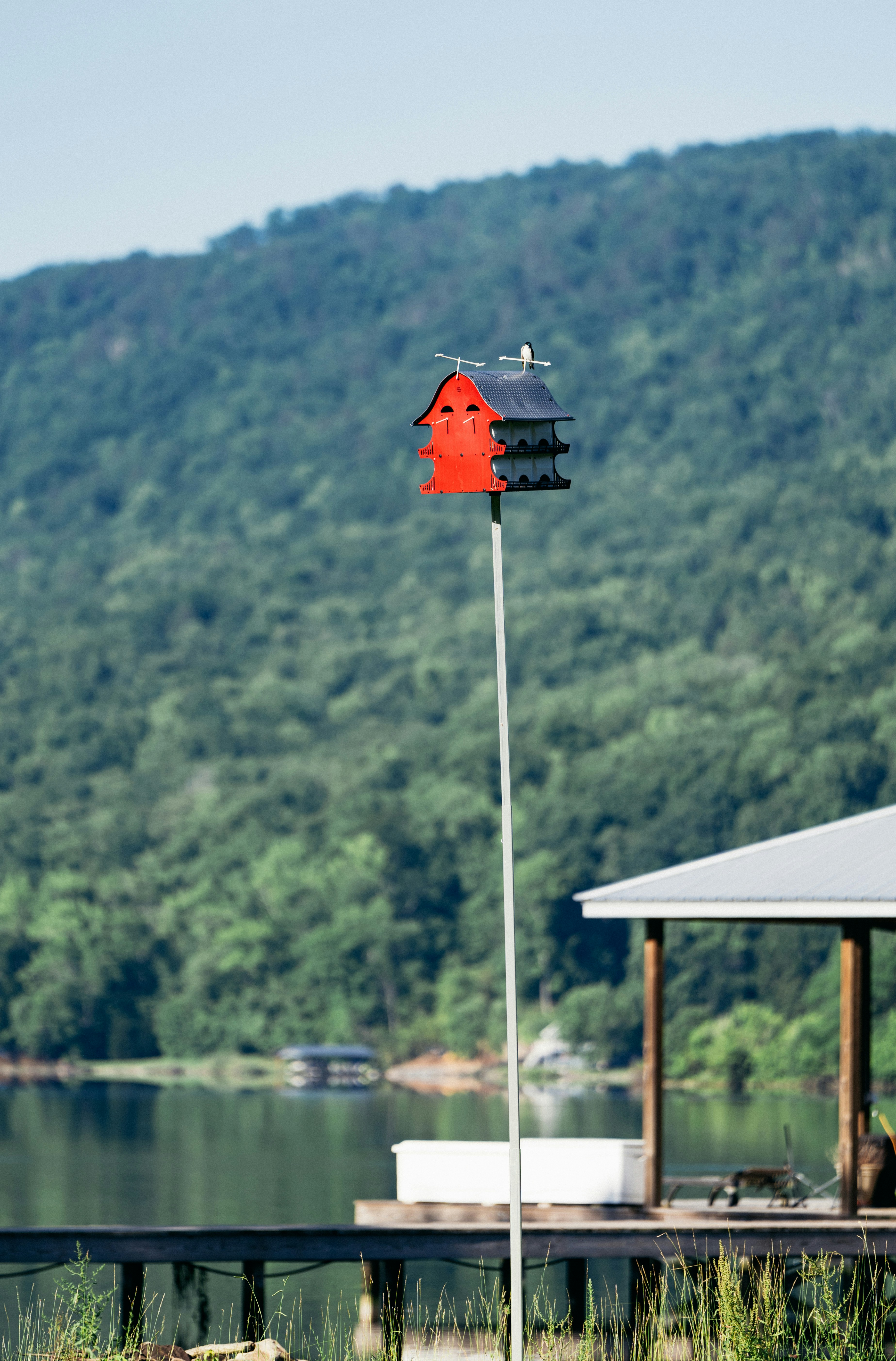 a red birdhouse on a pole next to a body of water