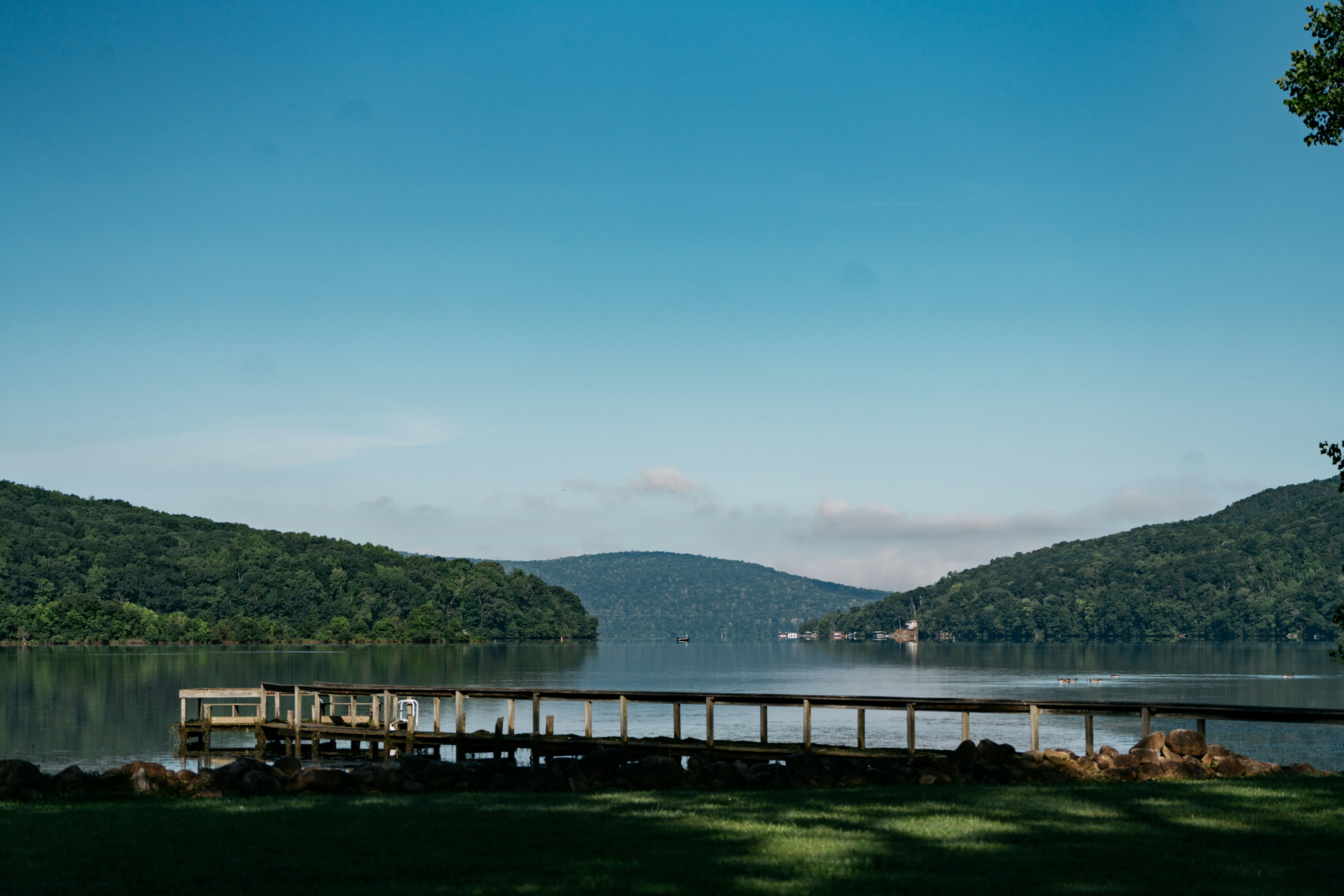 a wooden dock sitting on top of a lush green field