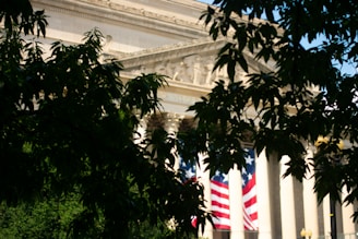 an american flag is seen through the leaves of a tree