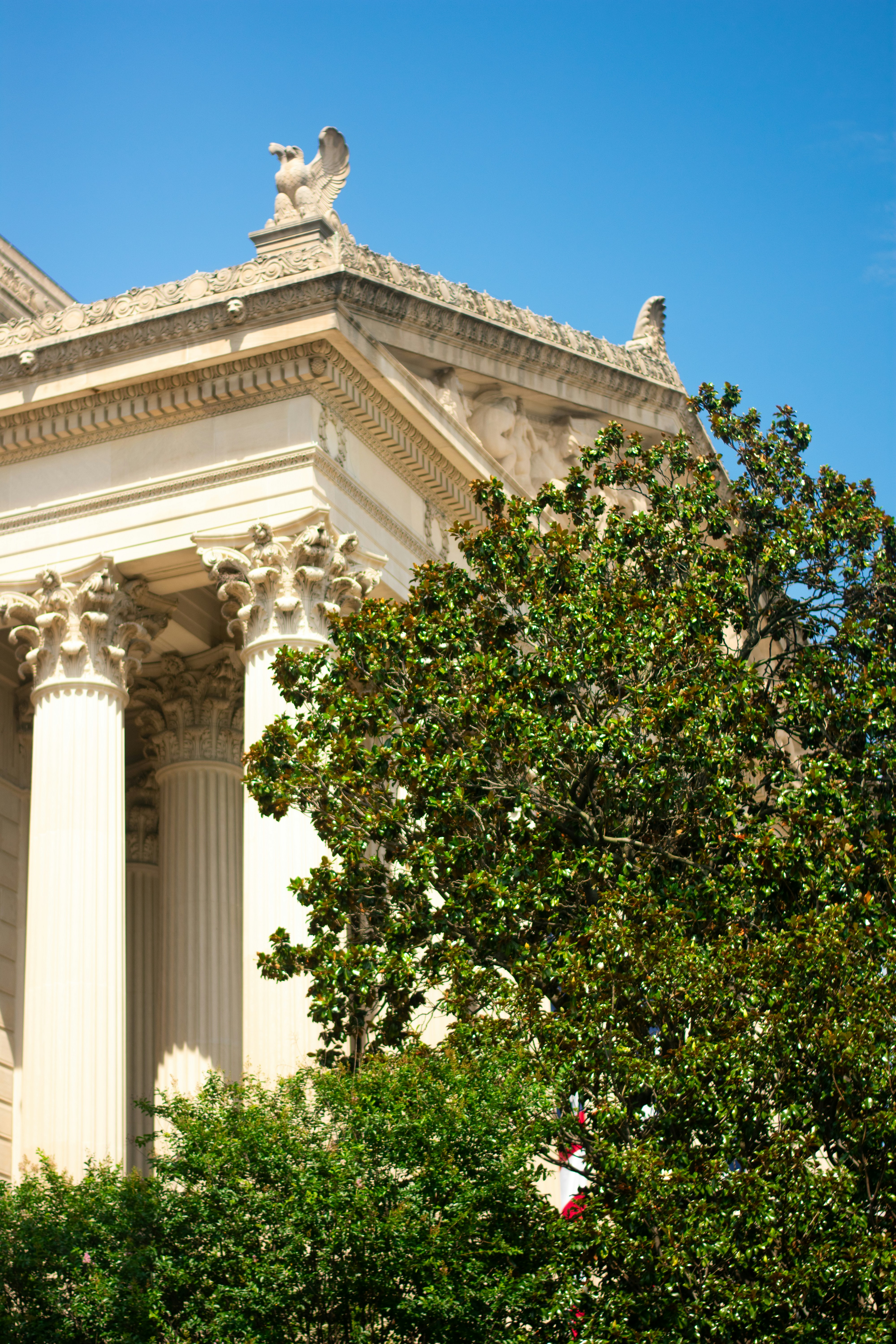 Photo by julianauribbe