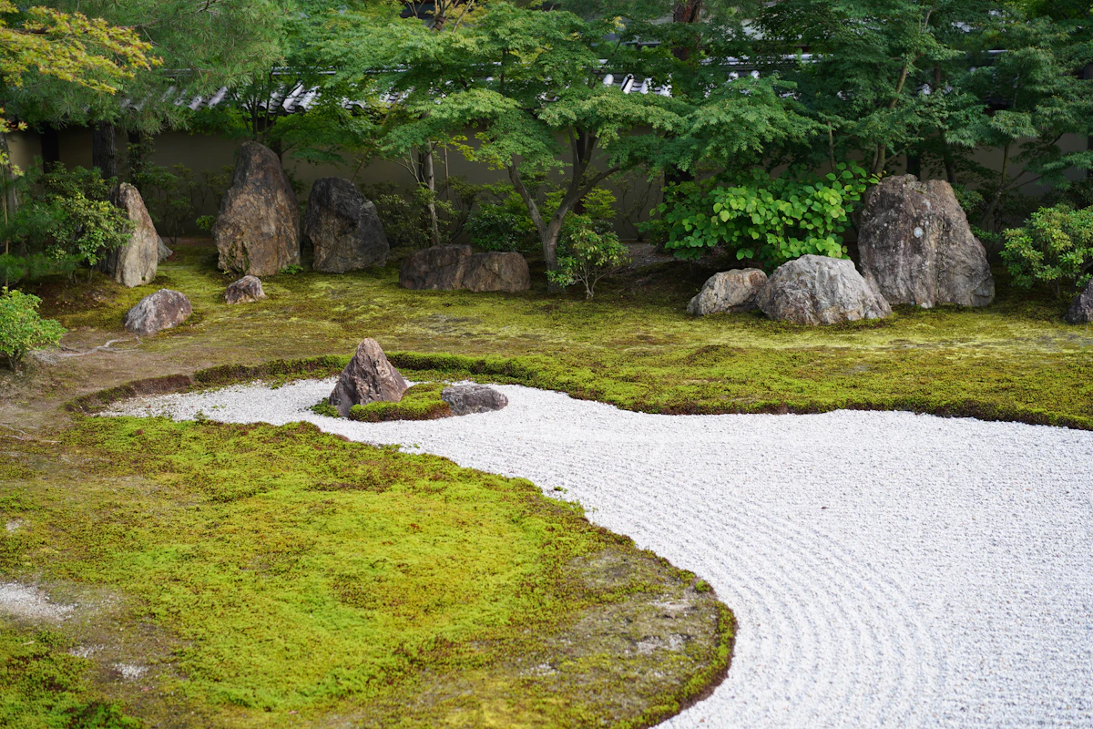 Massif de rochers et graminées dans un jardin japonais au Vésinet