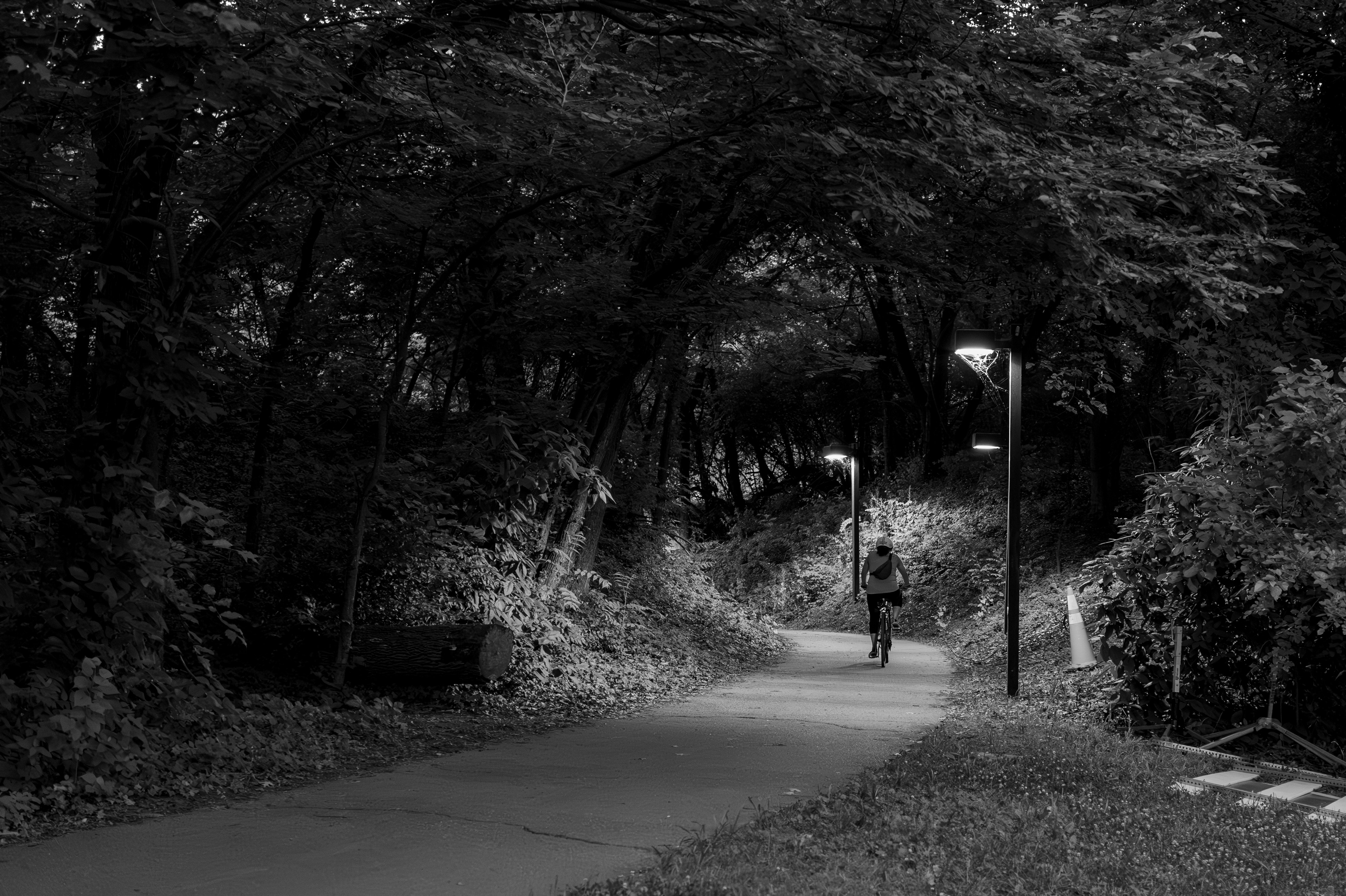 a black and white photo of a person walking down a path