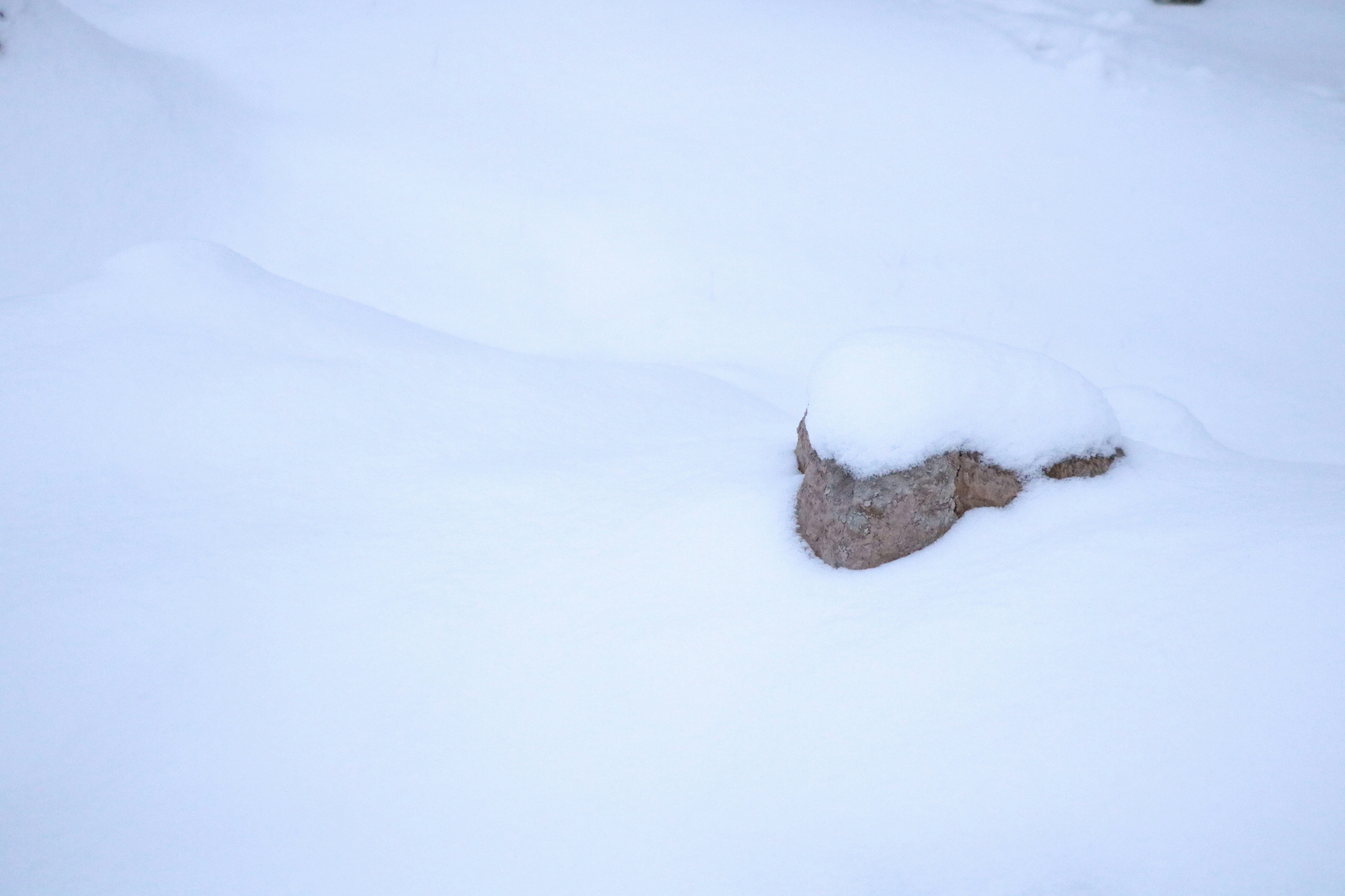 a snow covered ground with a rock sticking out of it