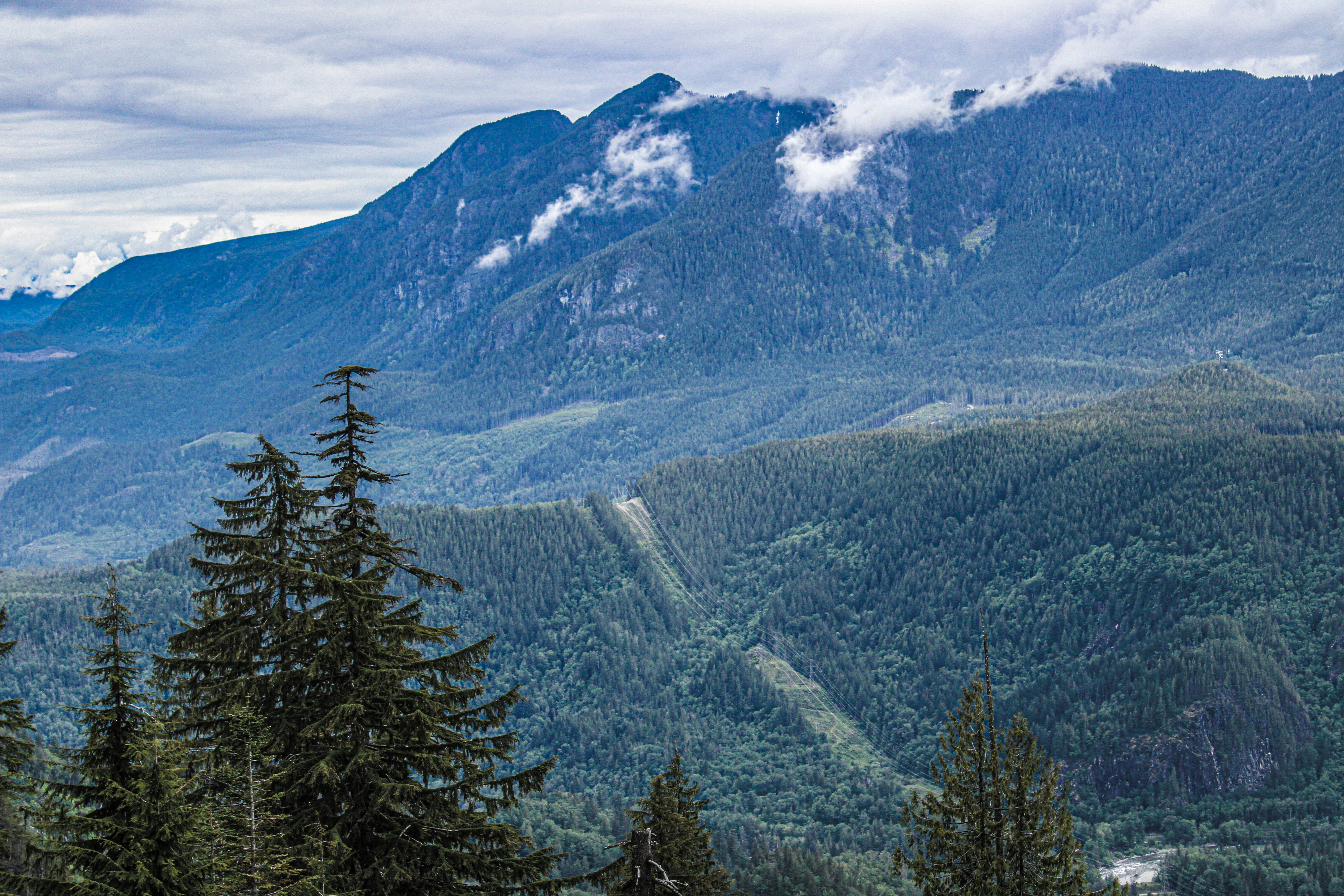 Photo by prphotography262