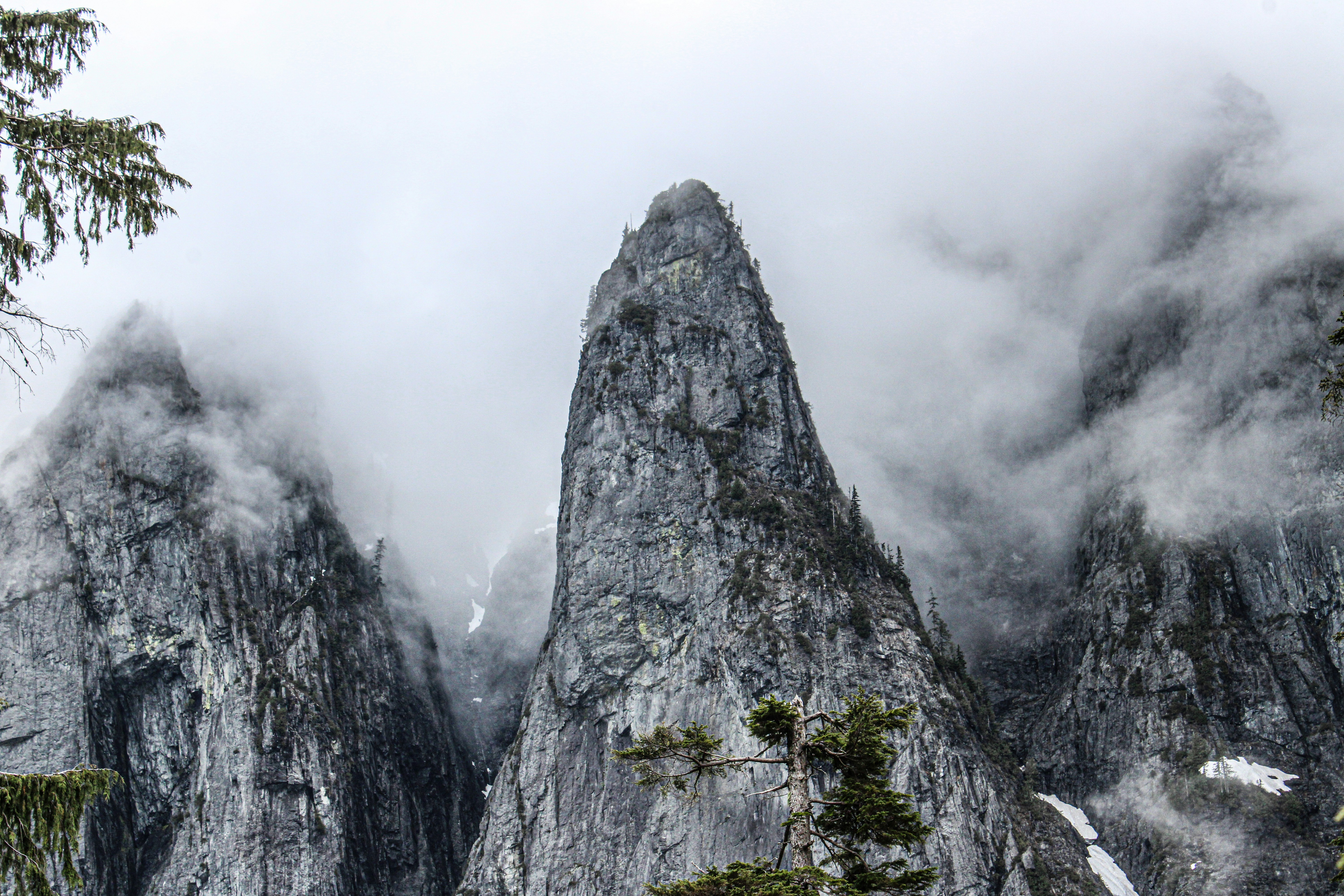 Photo by prphotography262