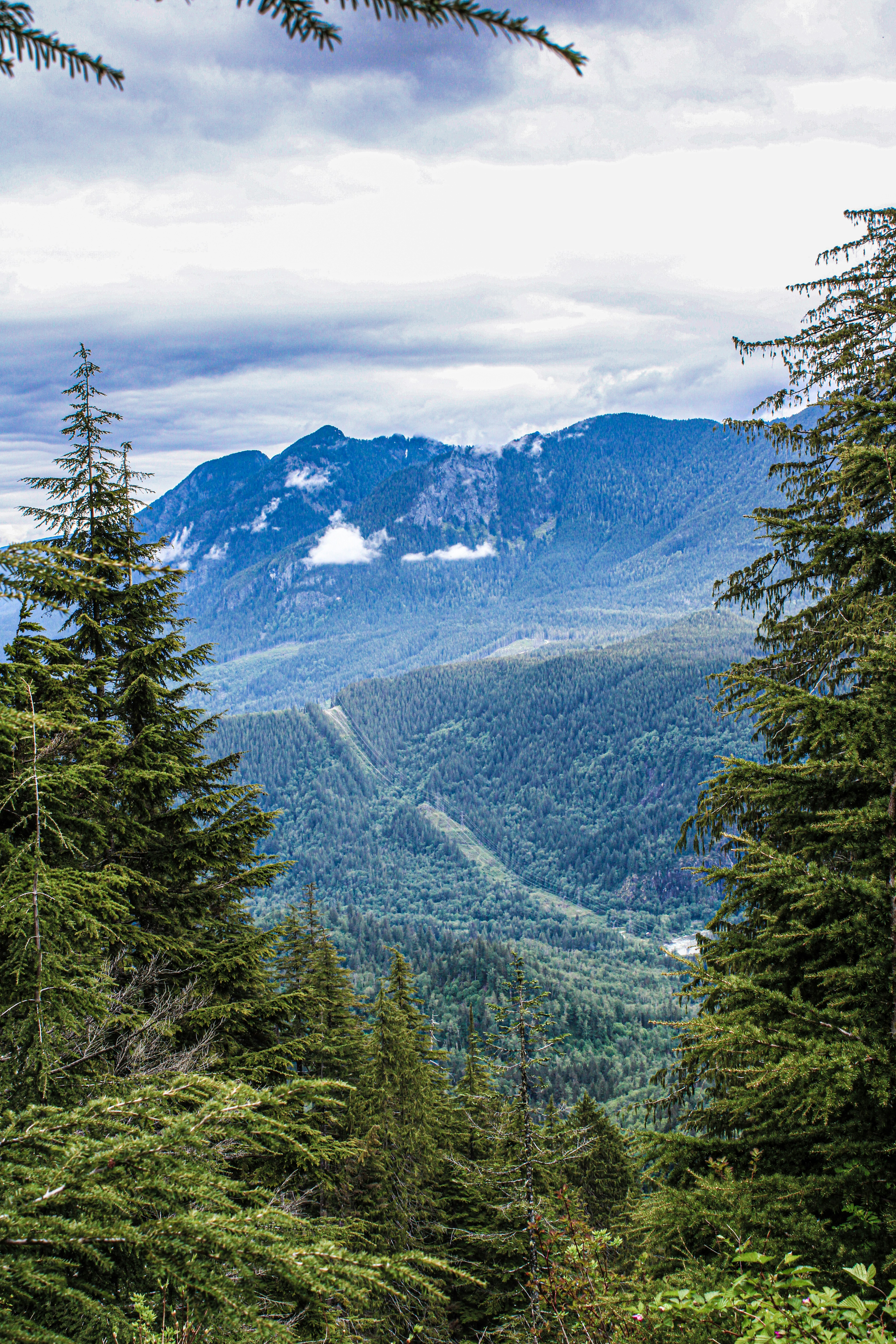 Photo by prphotography262