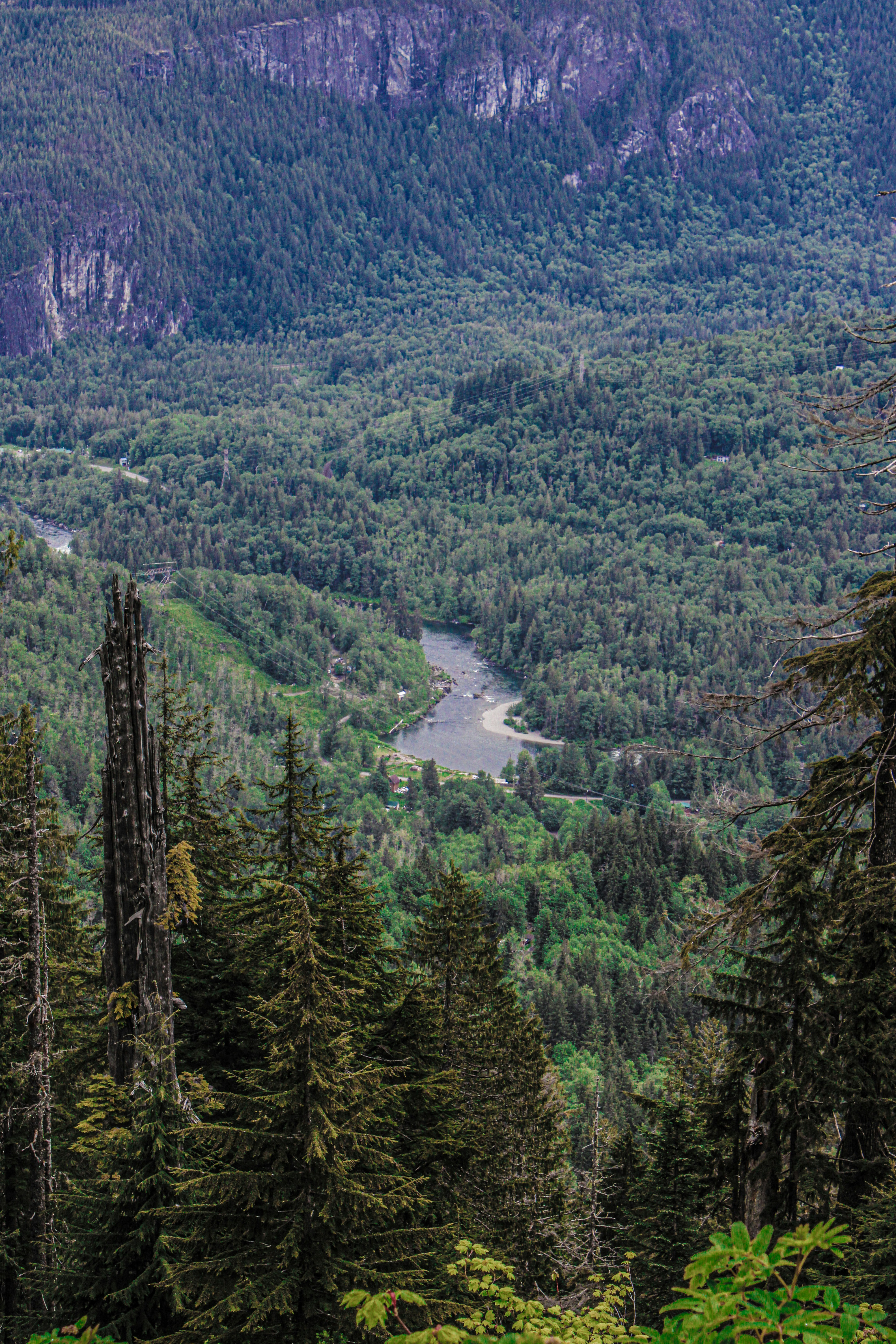 Photo by prphotography262