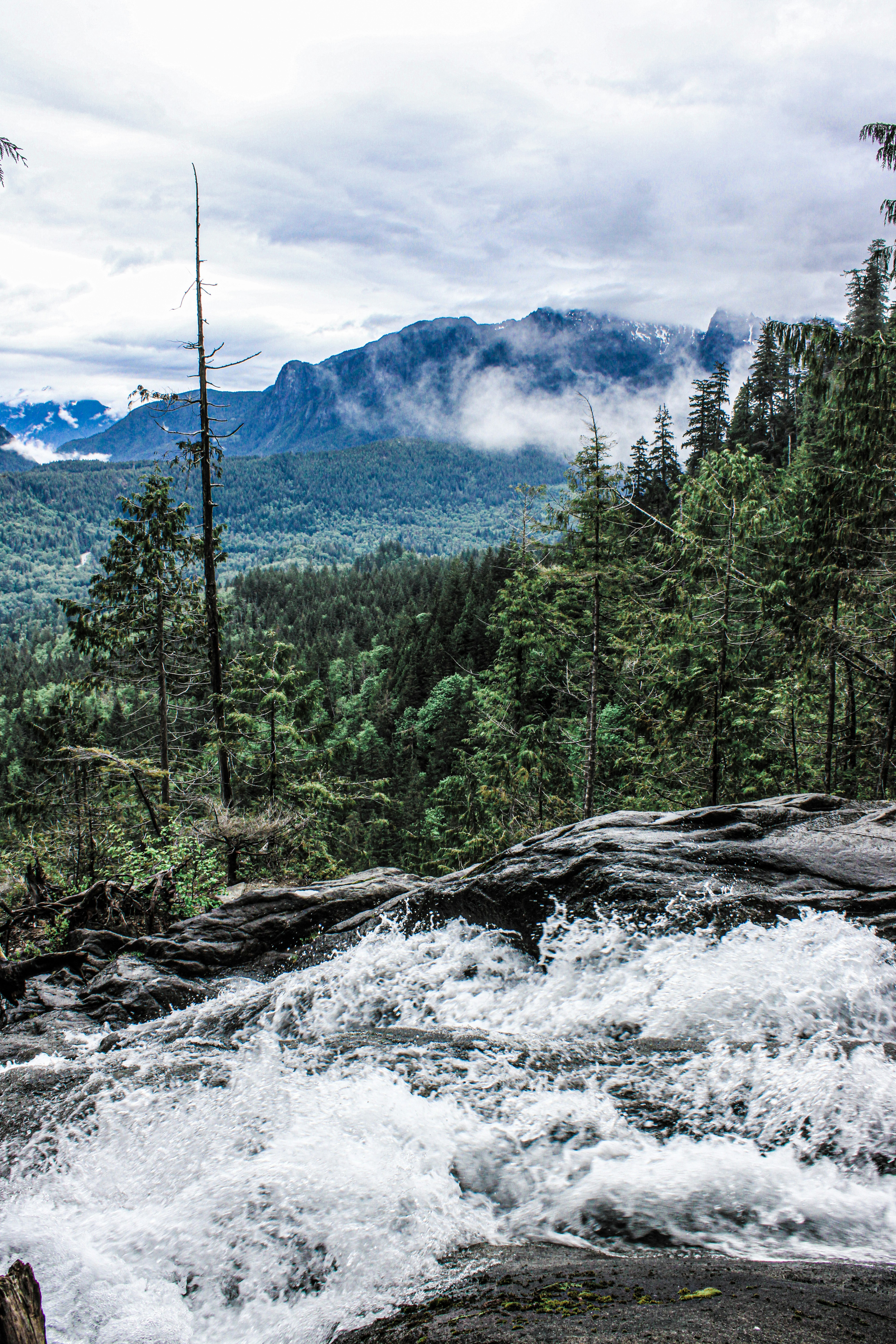 Photo by prphotography262