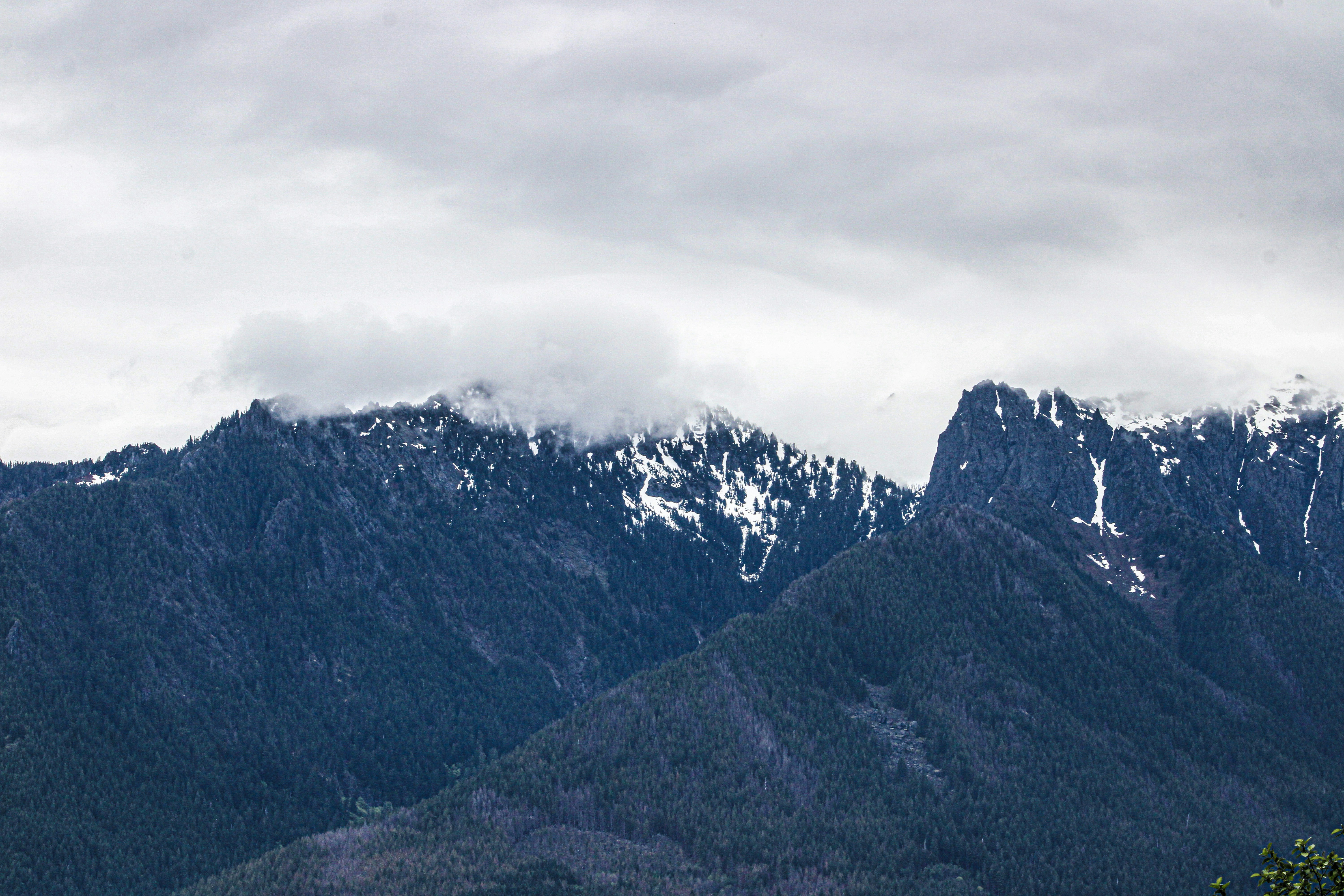 Photo by prphotography262