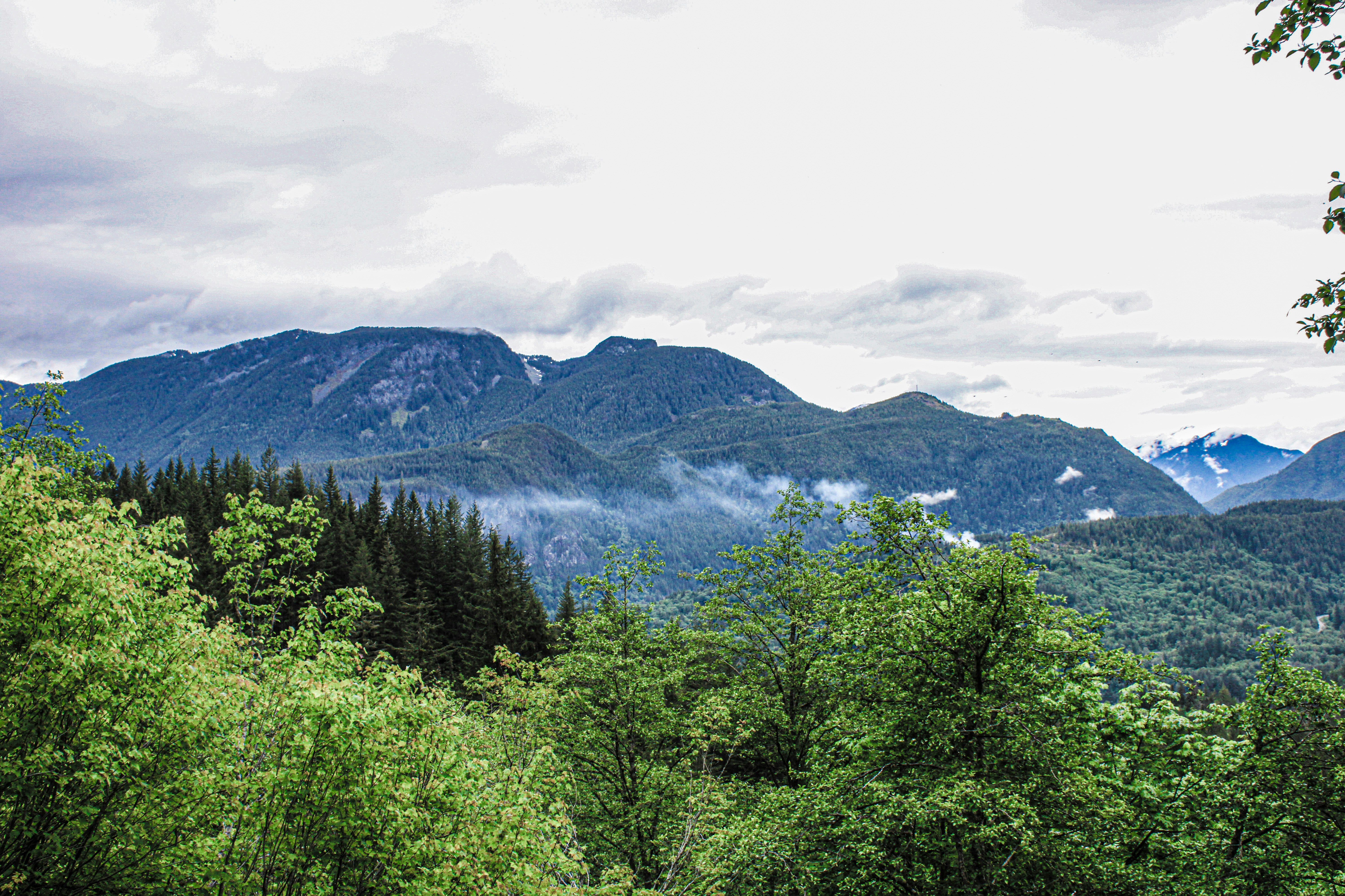 Photo by prphotography262