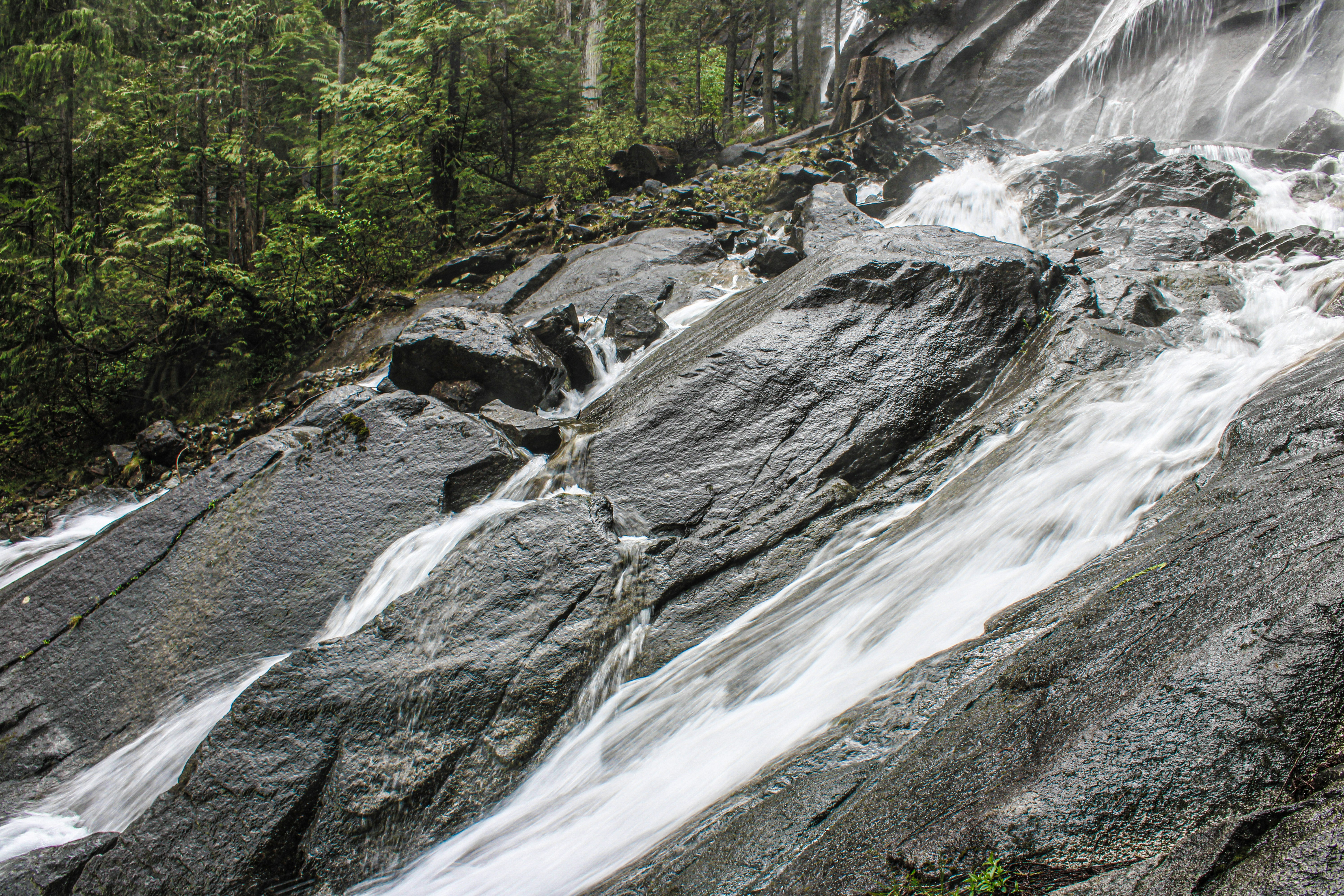 Photo by prphotography262