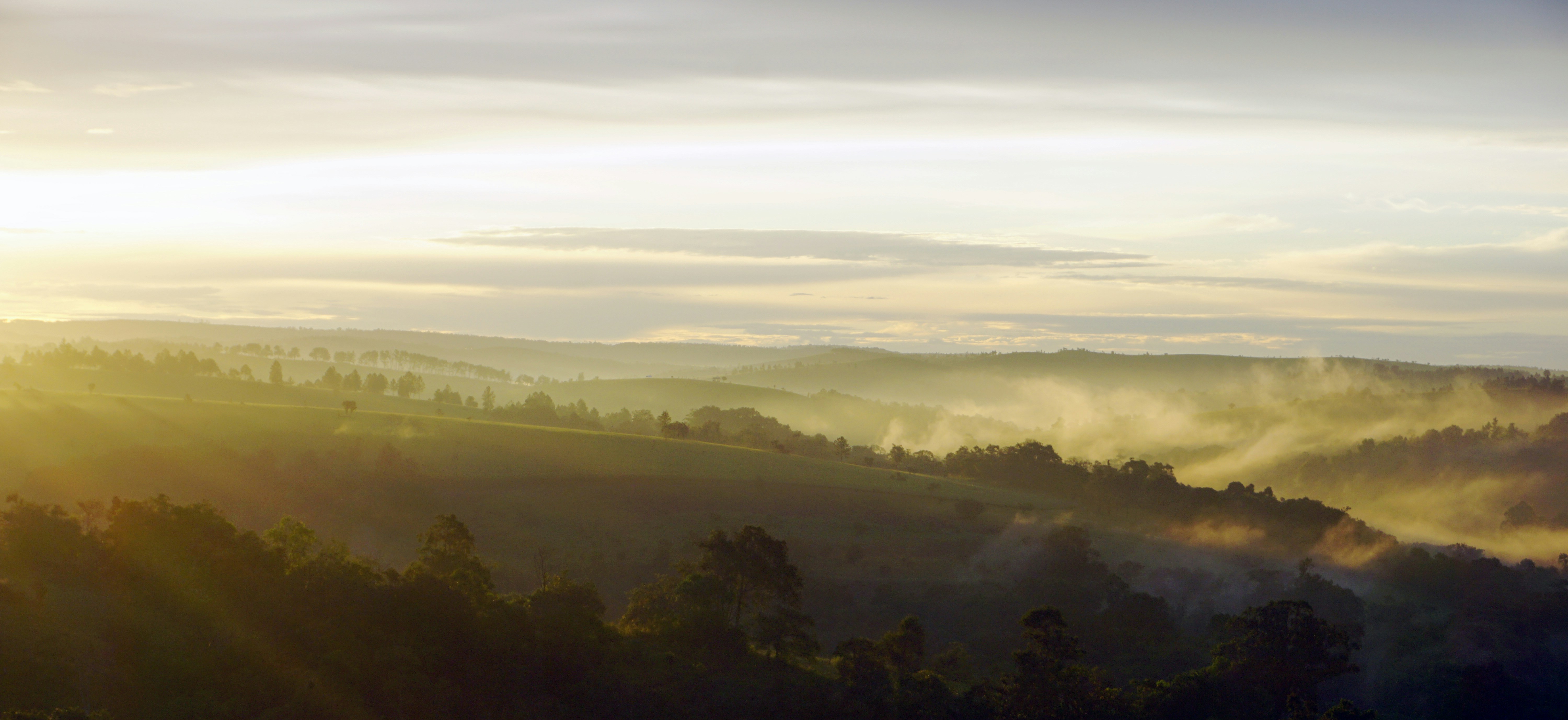 Photo by renpisal_88