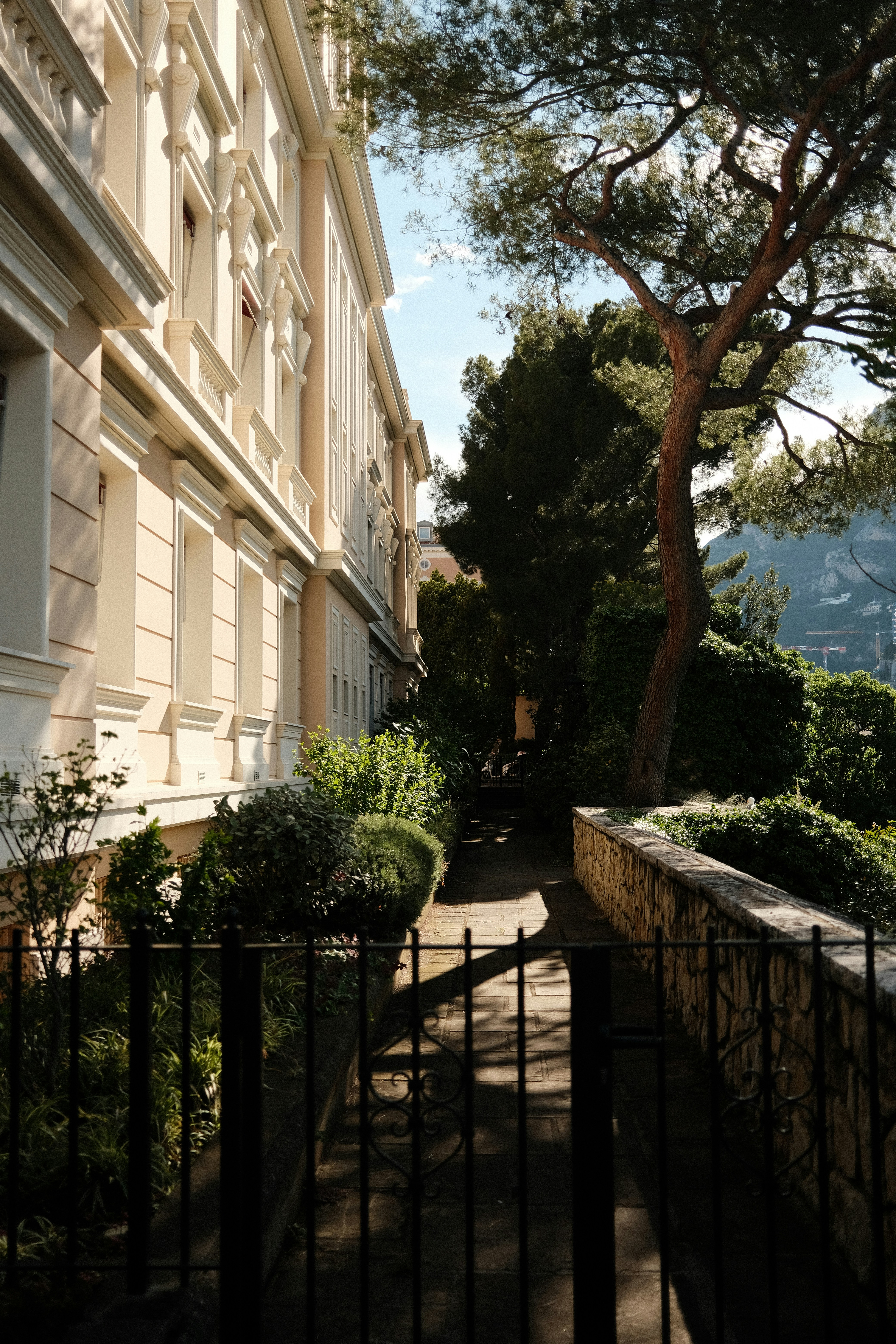 a black iron fence a building and a tree