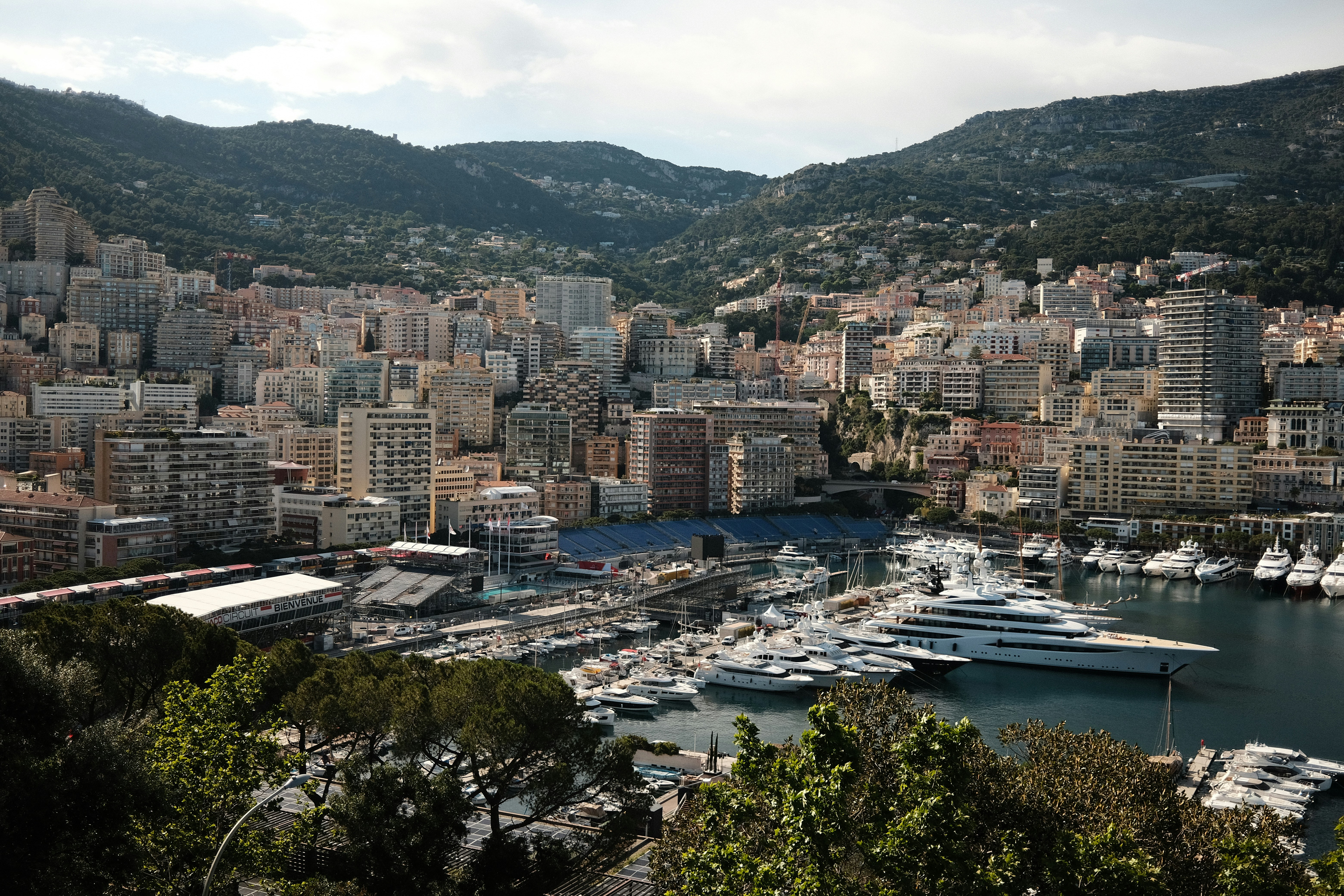 a harbor with many boats in it and a city in the background